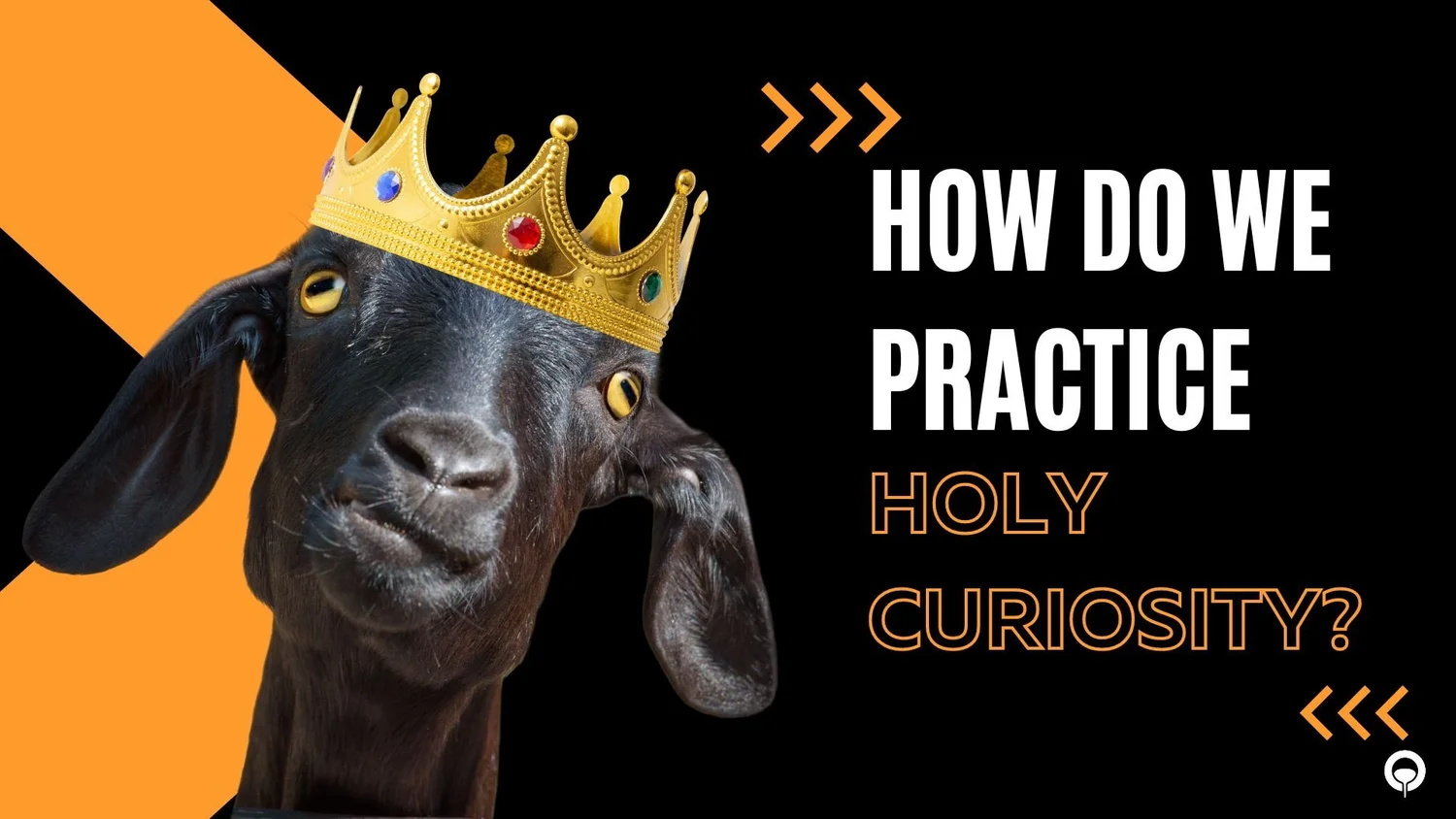 G.O.A.T Life: Holy Curiosity