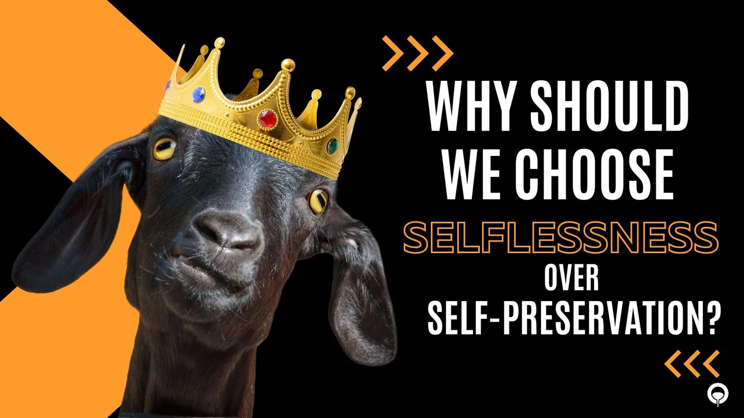 GOAT Life - Selflessness over Self-preservation episode artwork