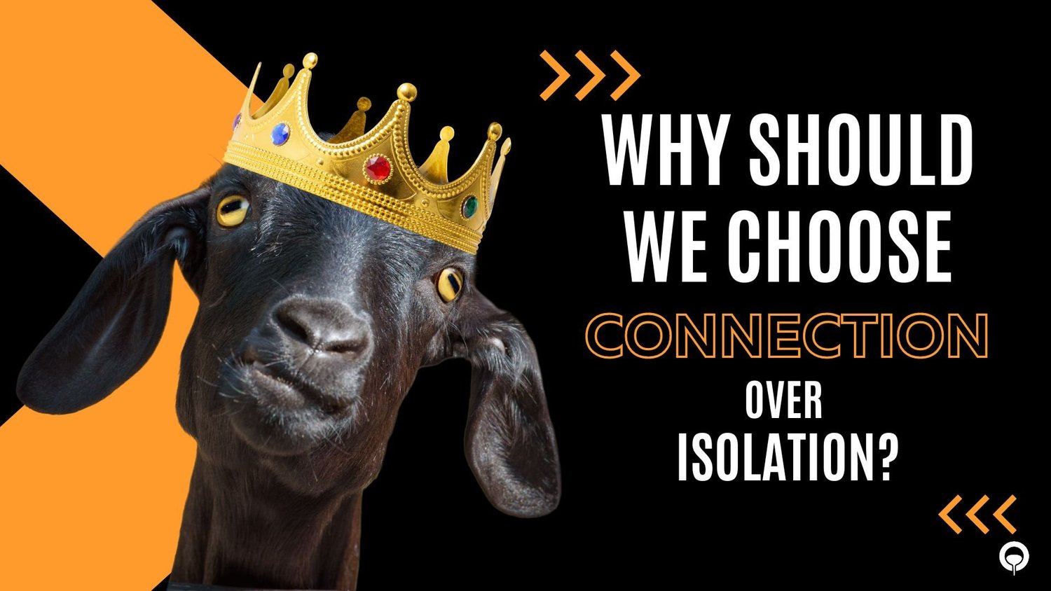 GOAT Life: Connection over Isolation episode artwork