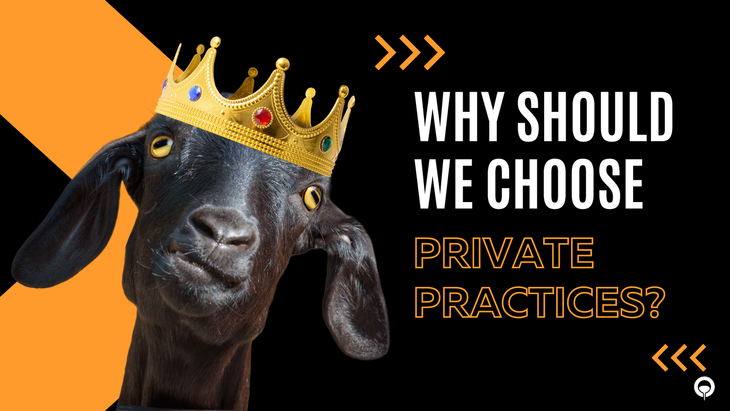GOAT Life: Private Practices over Public Productivity or Power episode artwork