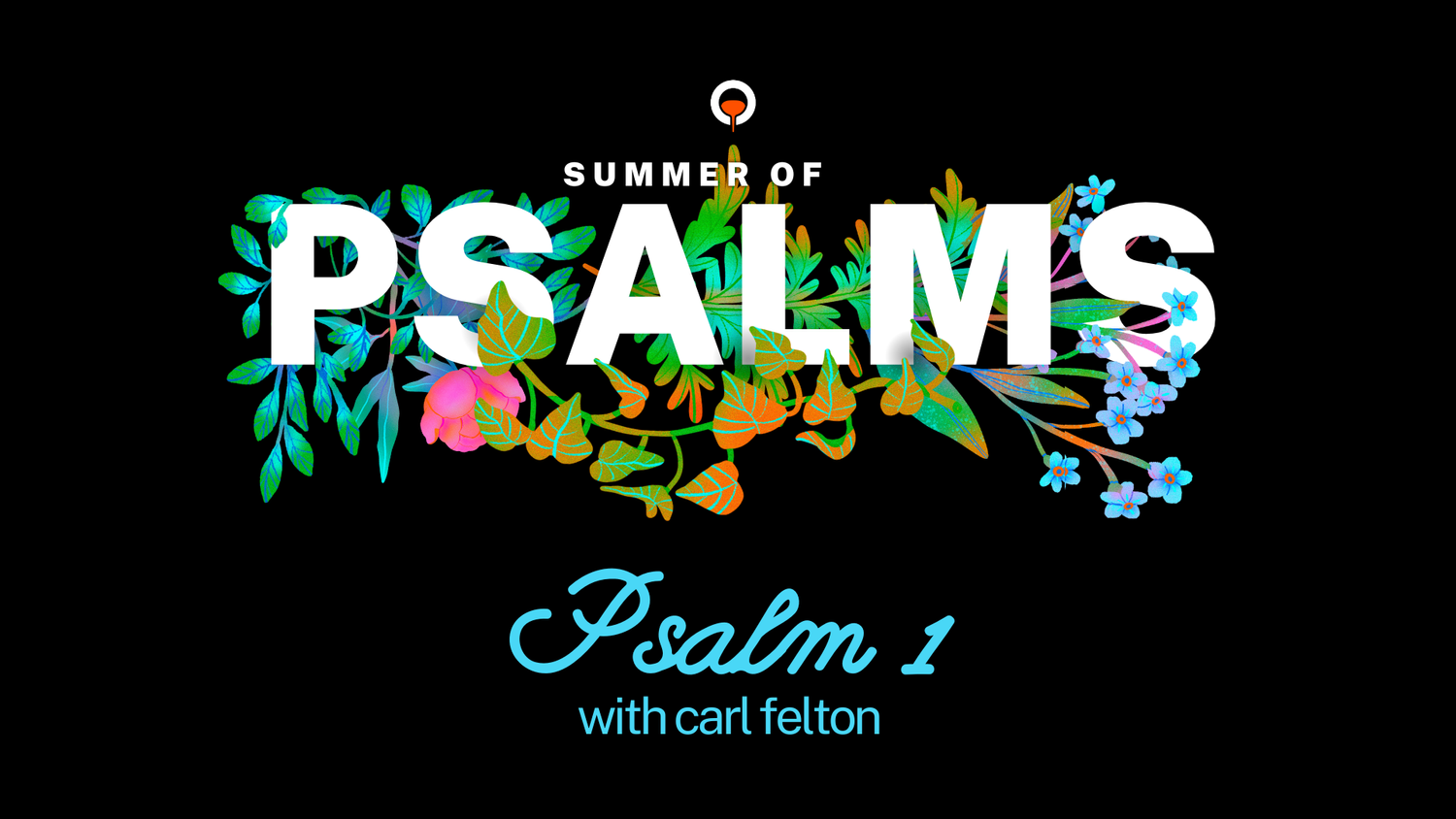 Summer of Psalms: The Pursuit of Happiness episode artwork