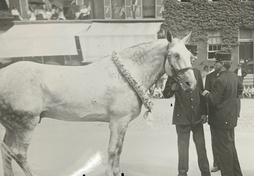 🐴 Meet Goliath&mdash;a horse who became a hero during the Great Baltimore Fire.

While others ran away from the flames, Goliath and the brave man of Engine company 15 and  ran toward them. Goliath pulled a water tower enabling the fire to be fought 