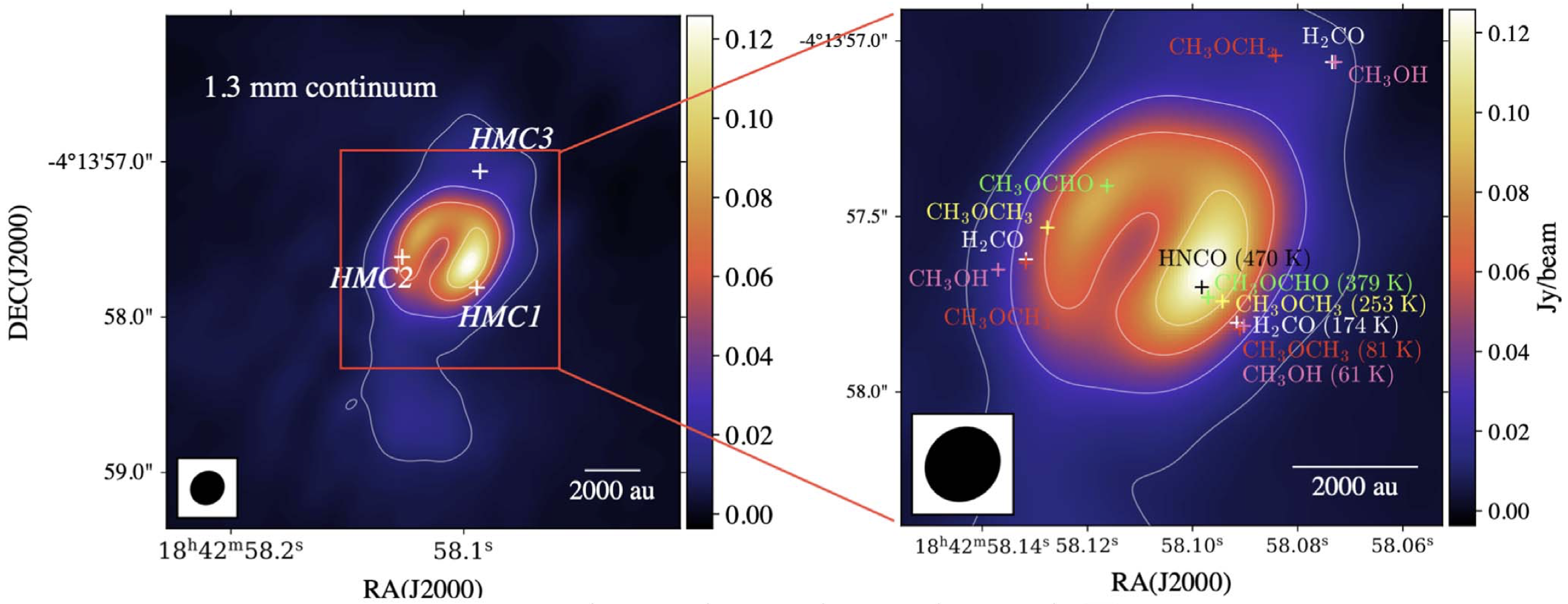 A Lonely Massive Star Reveals Secrets of Stellar Chemistry