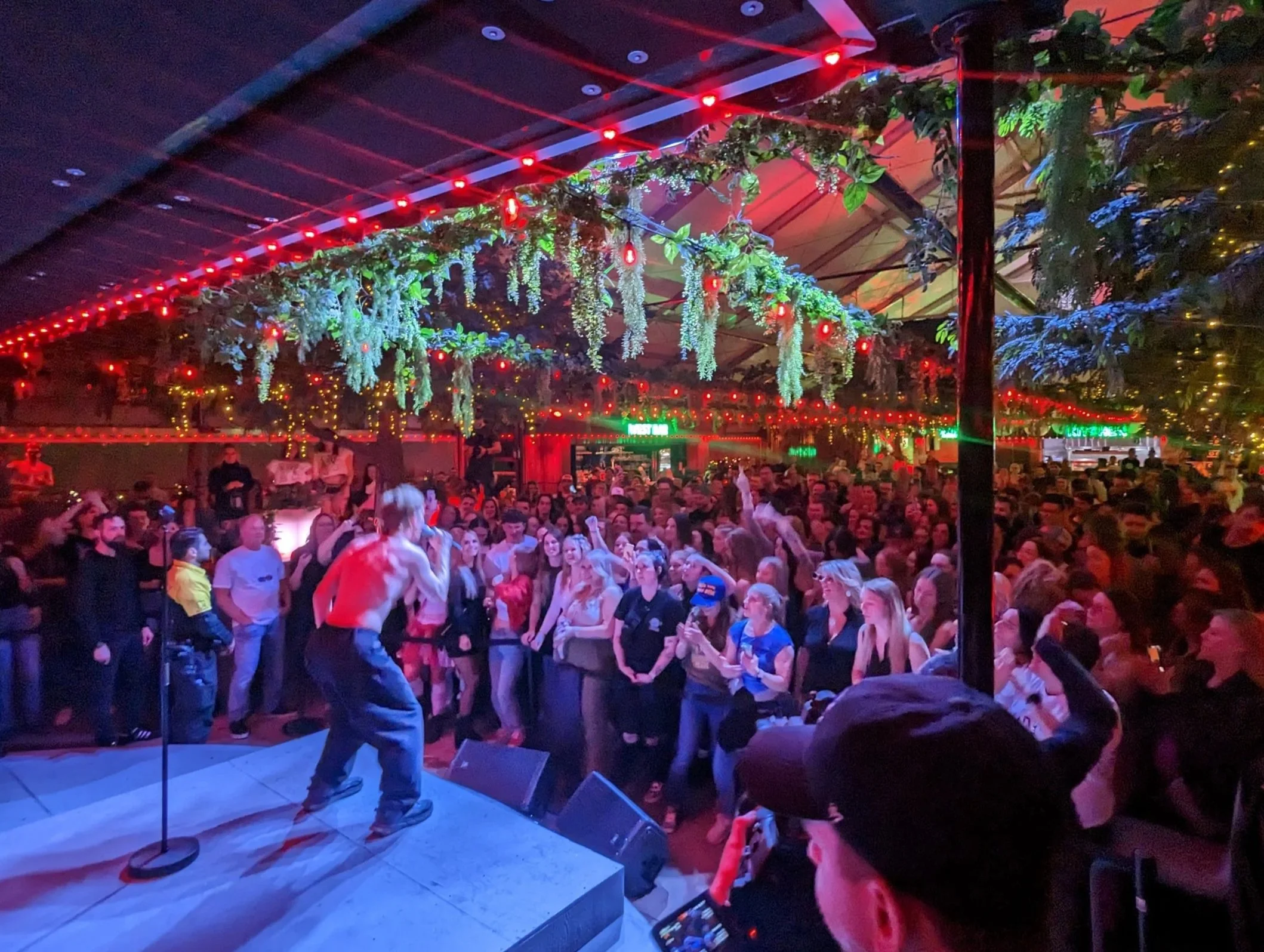 A lively indoor concert or event with a male performer on stage, crowd dancing and enjoying the music, colorful lighting, and decorative greenery with hanging plants and string lights overhead.