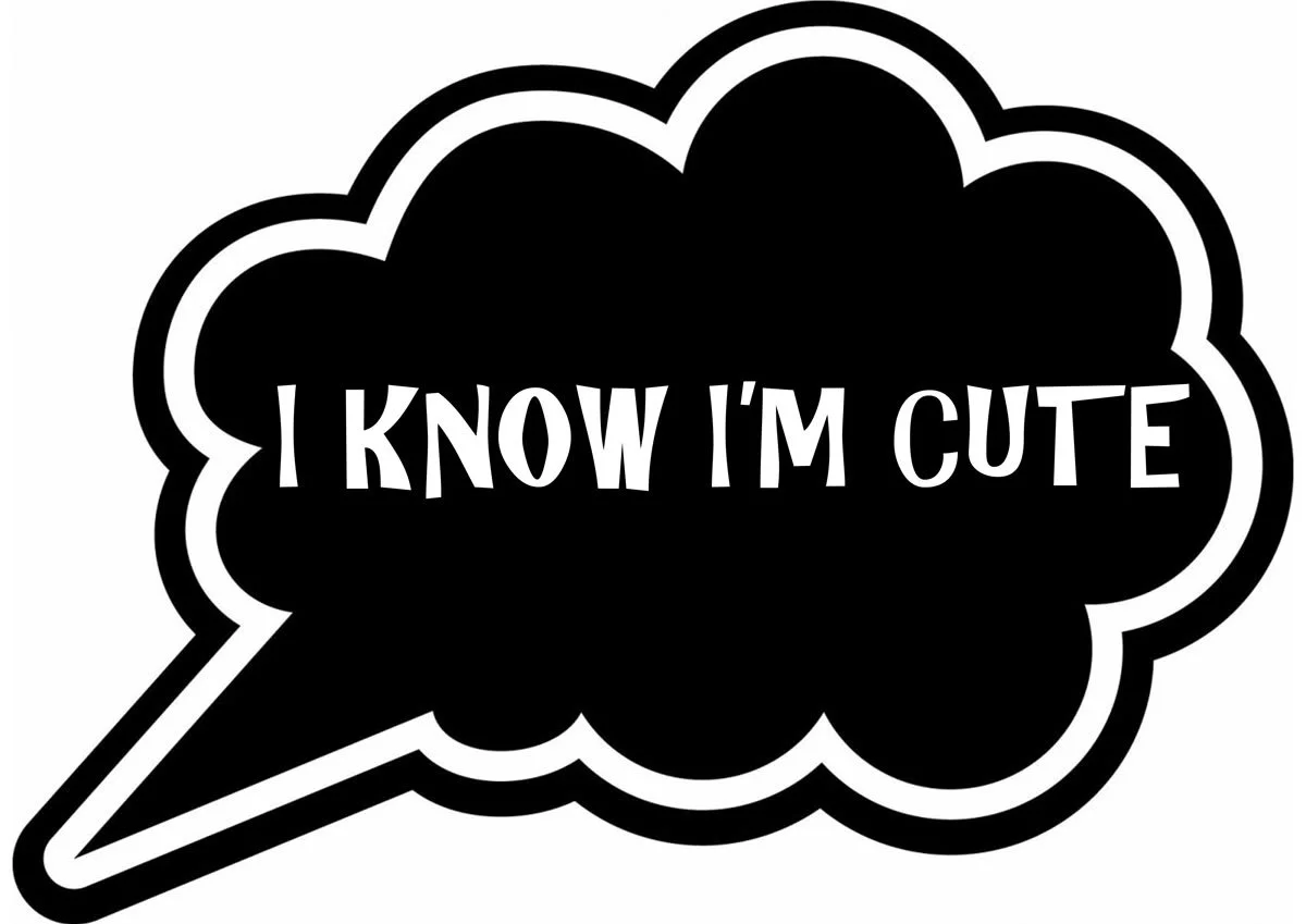 Black and white speech bubble with the text 'I KNOW I'M CUTE' inside.