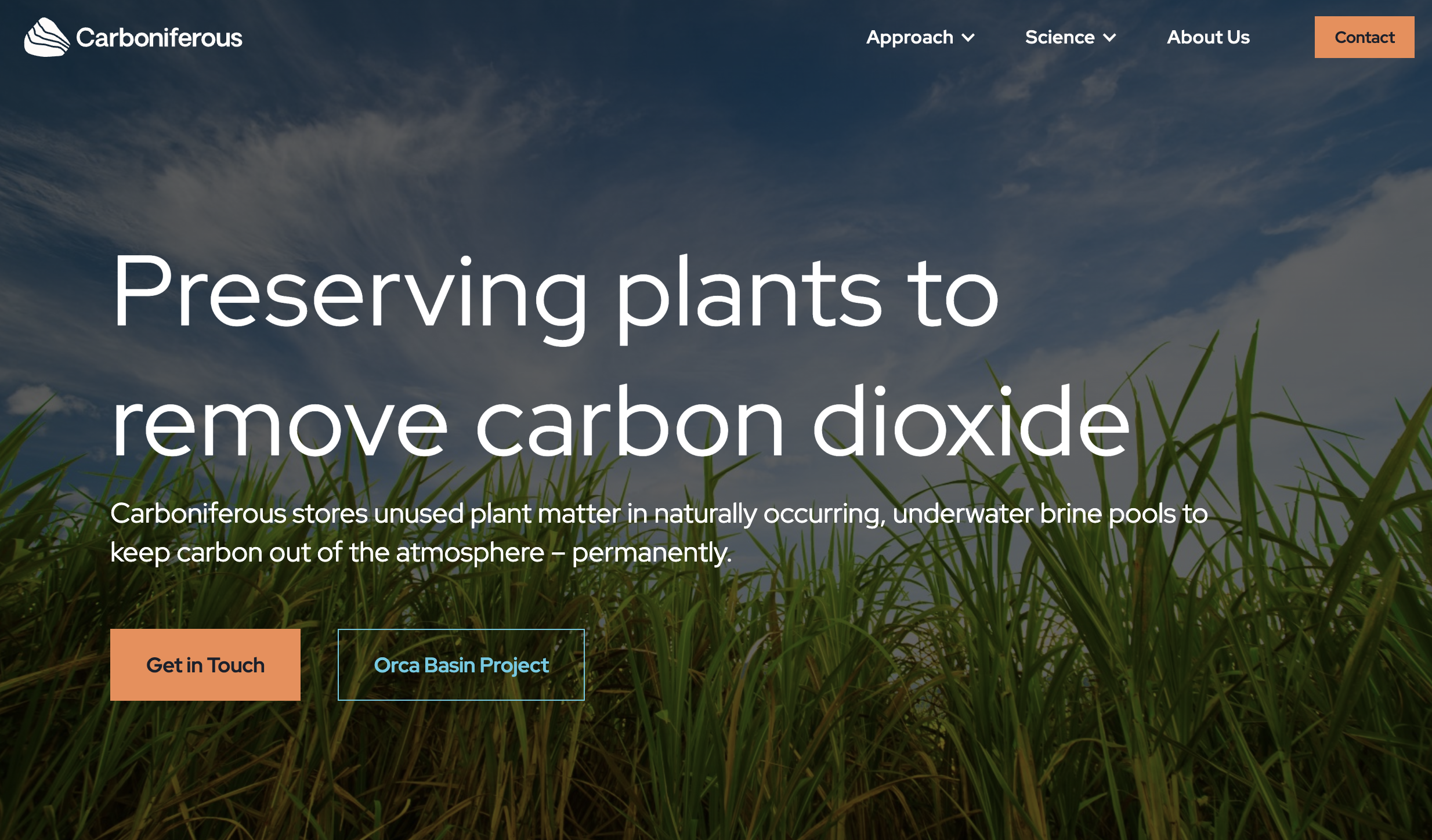 Carboniferous.png