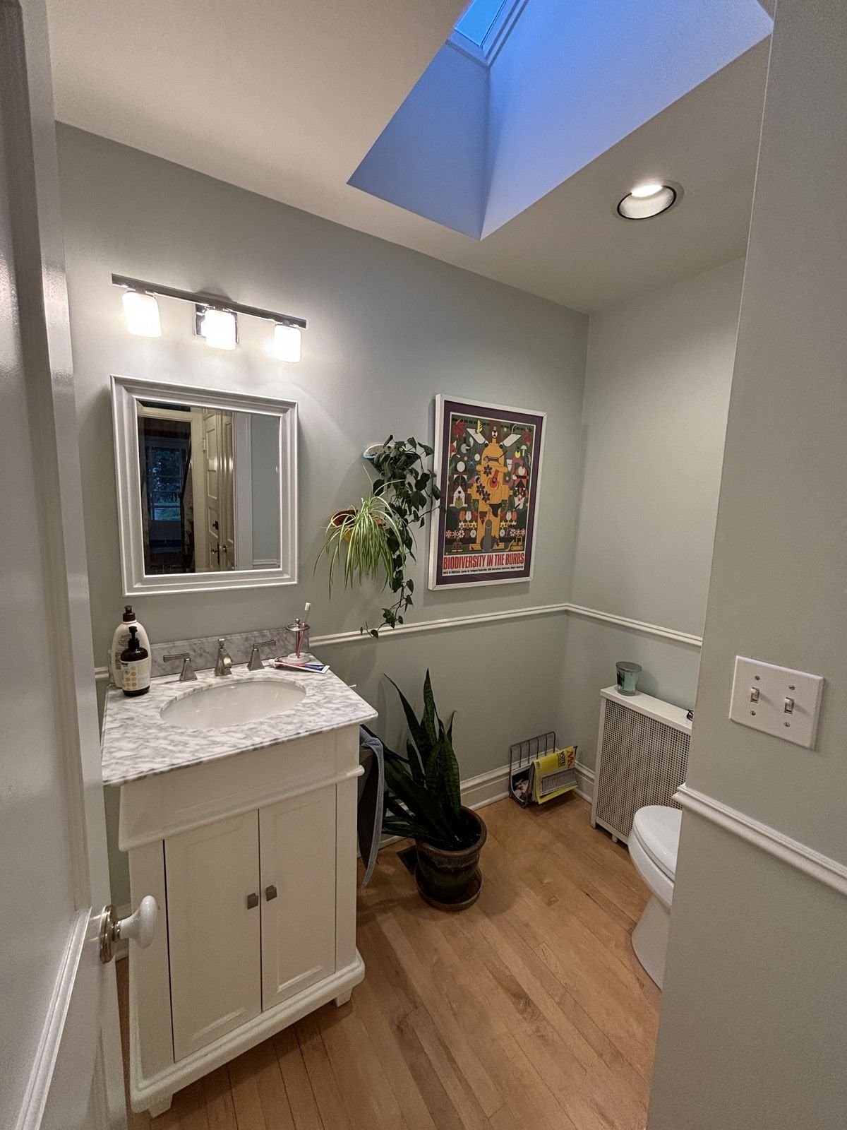 A small bathroom with a white vanity, a mirror, plants, a framed colorful poster, and natural light from a skylight.