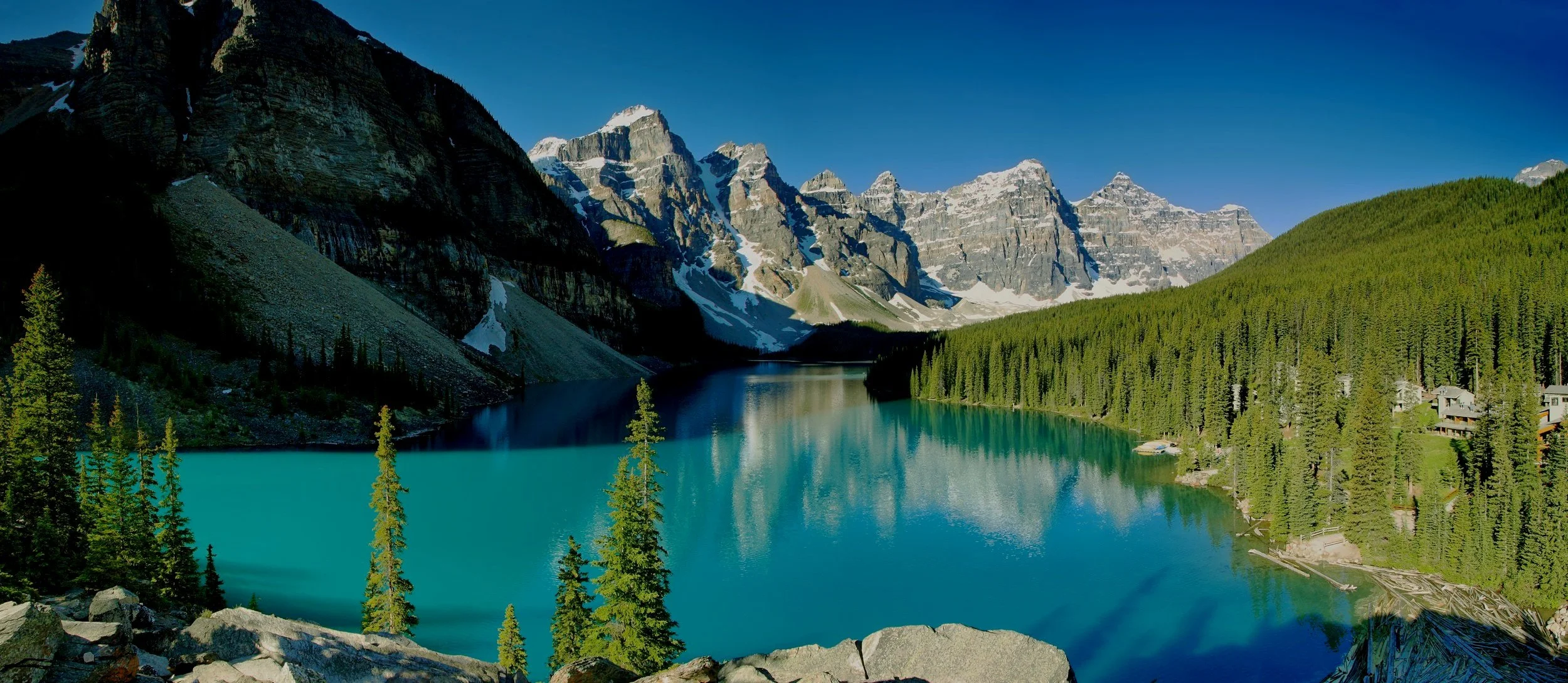 Prosthetics and Orthotics Calgary, AB Certified Orthotists ALIGN