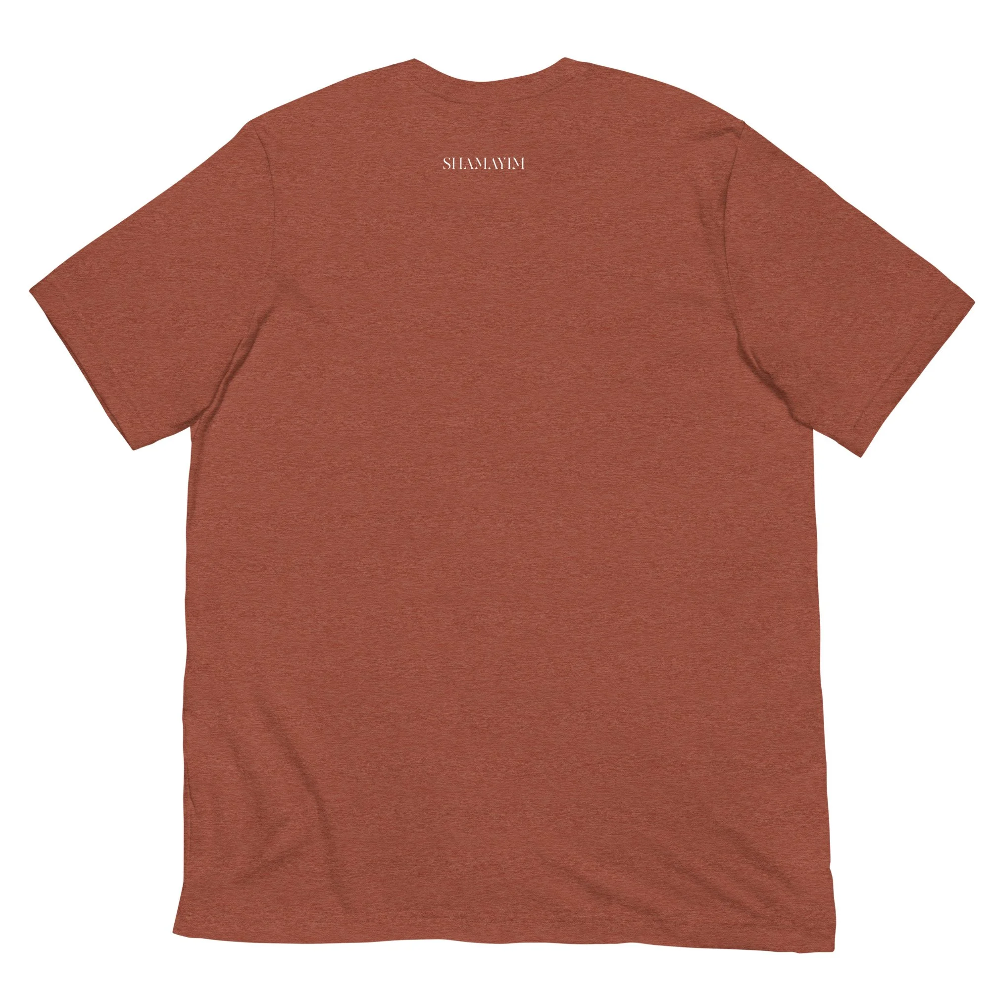 unisex-staple-t-shirt-heather-clay-back-67f68b5427271.jpg