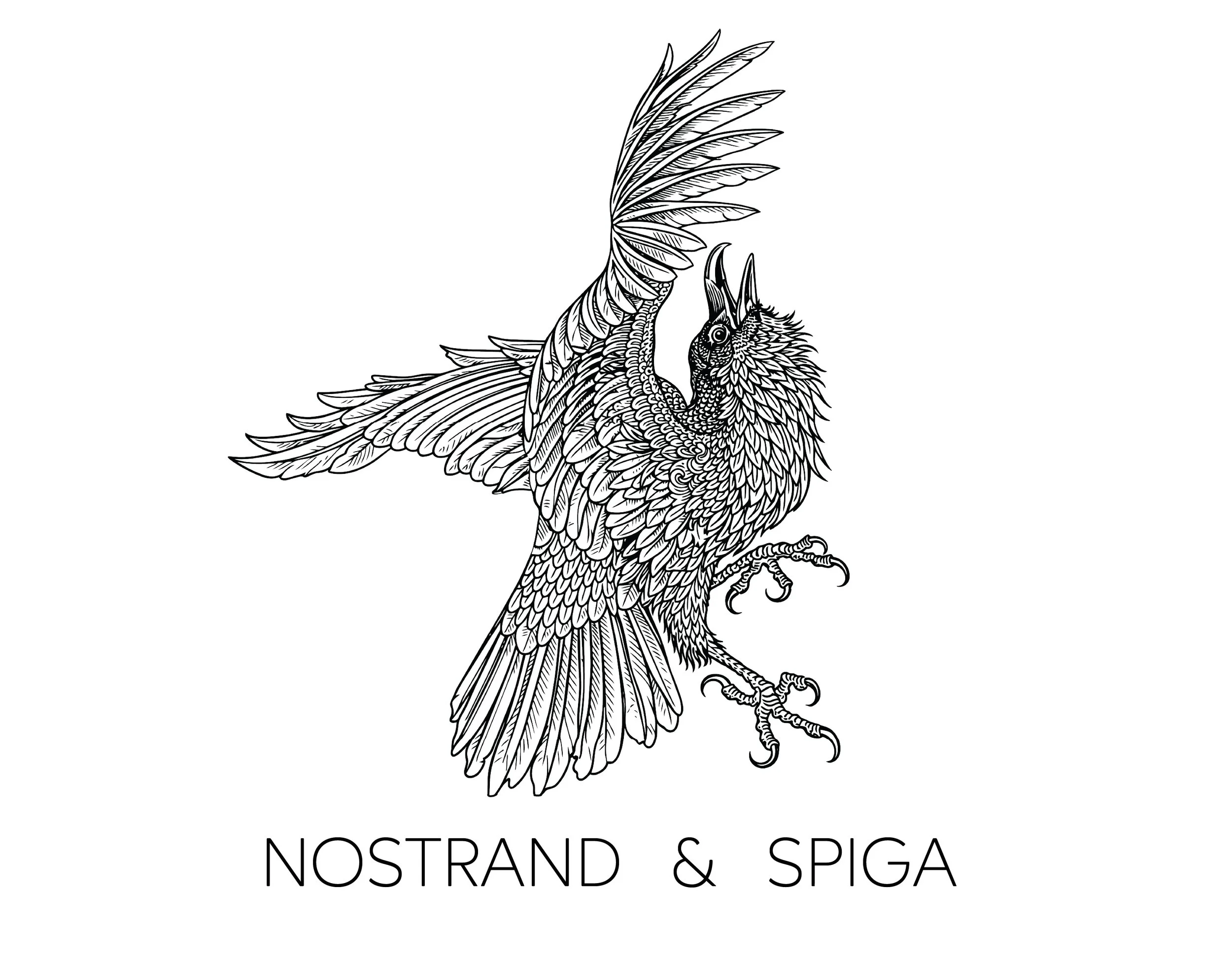 NOSTRAND &amp; SPIGA - CAMPAIGN (NEW YORK CITY)