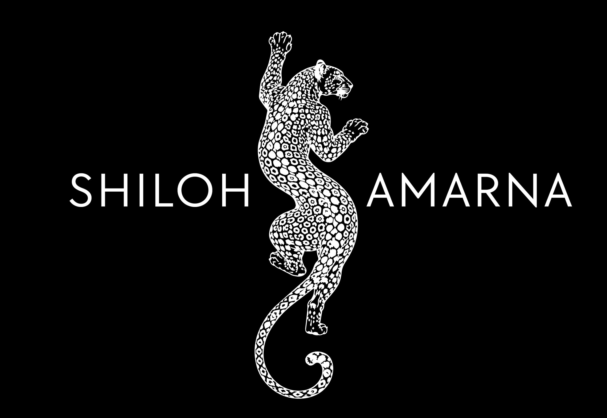 Shiloh &amp; Amarna Campaign