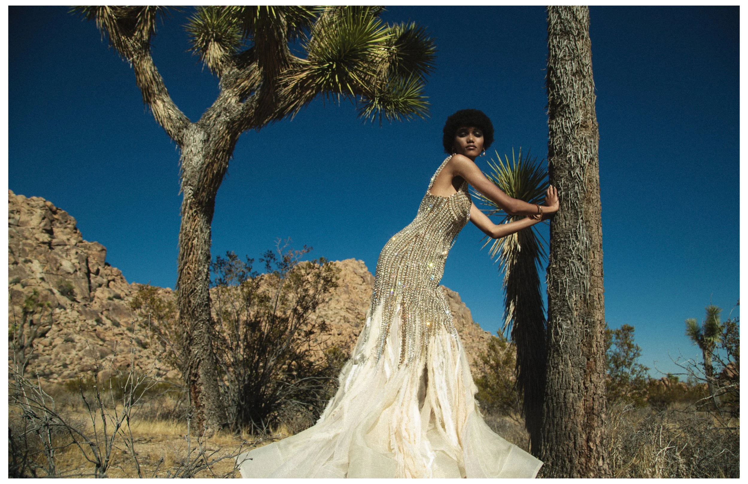 Shadai - Mojave63.jpg