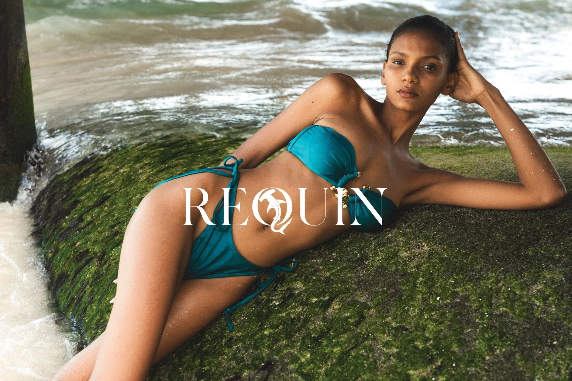 Requin