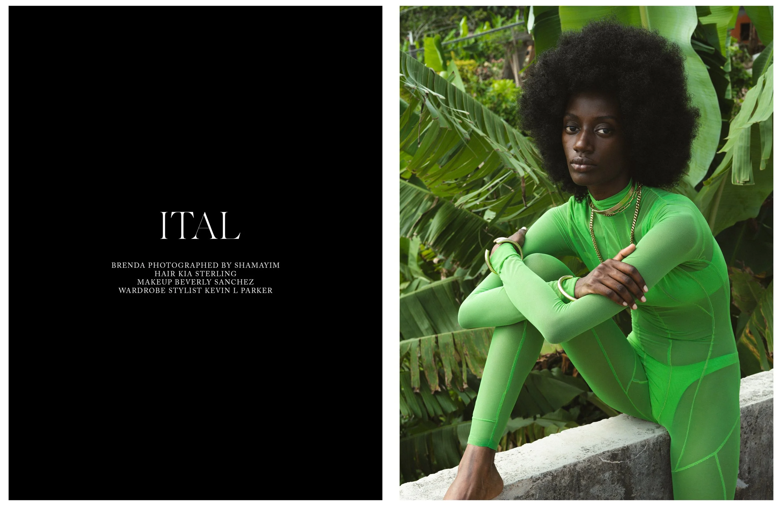 Shadai- Irie19.jpg