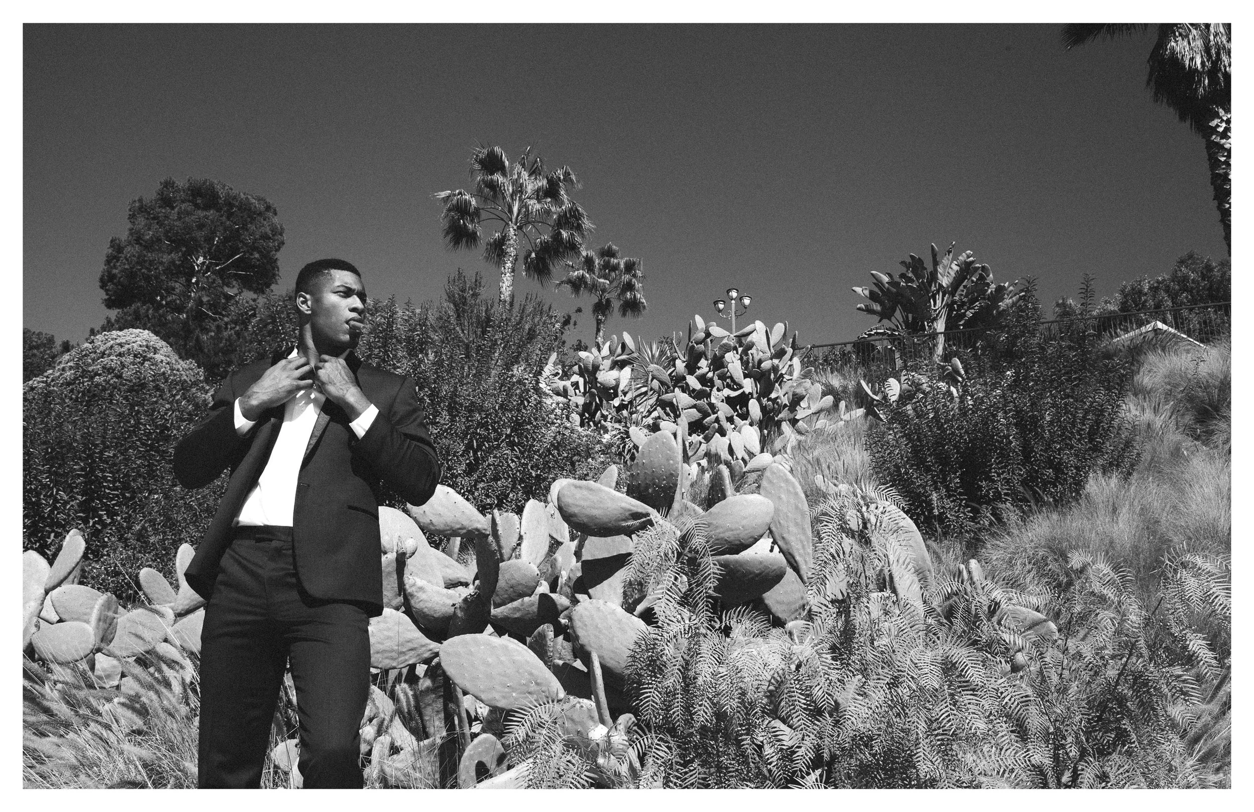 Campaigns28.jpg