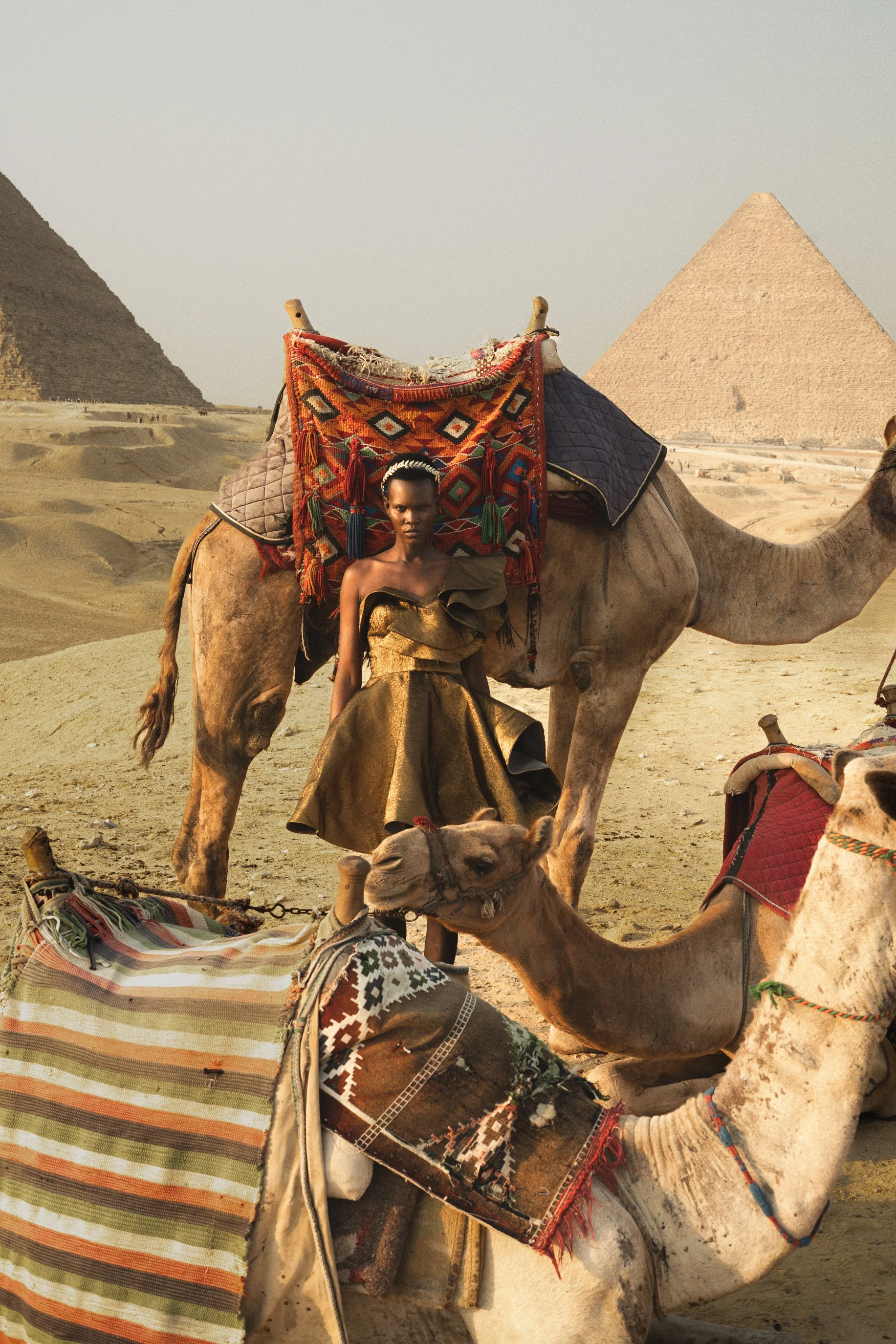 Photos from Previous Expeditions
