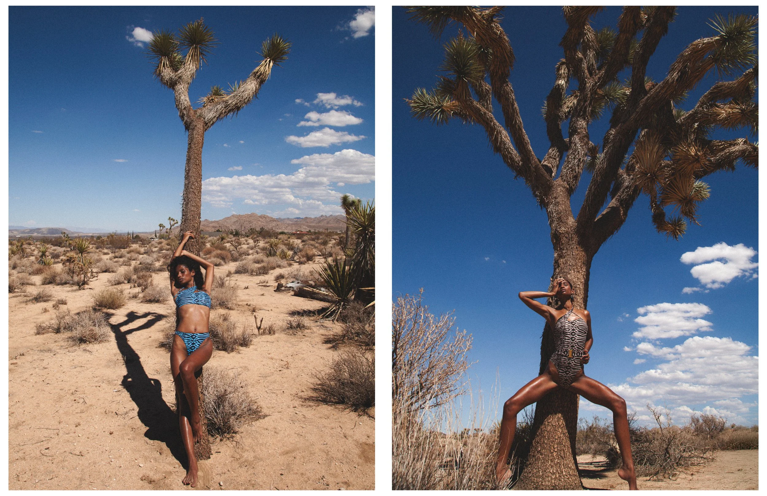 Shadai - Mojave40.jpg