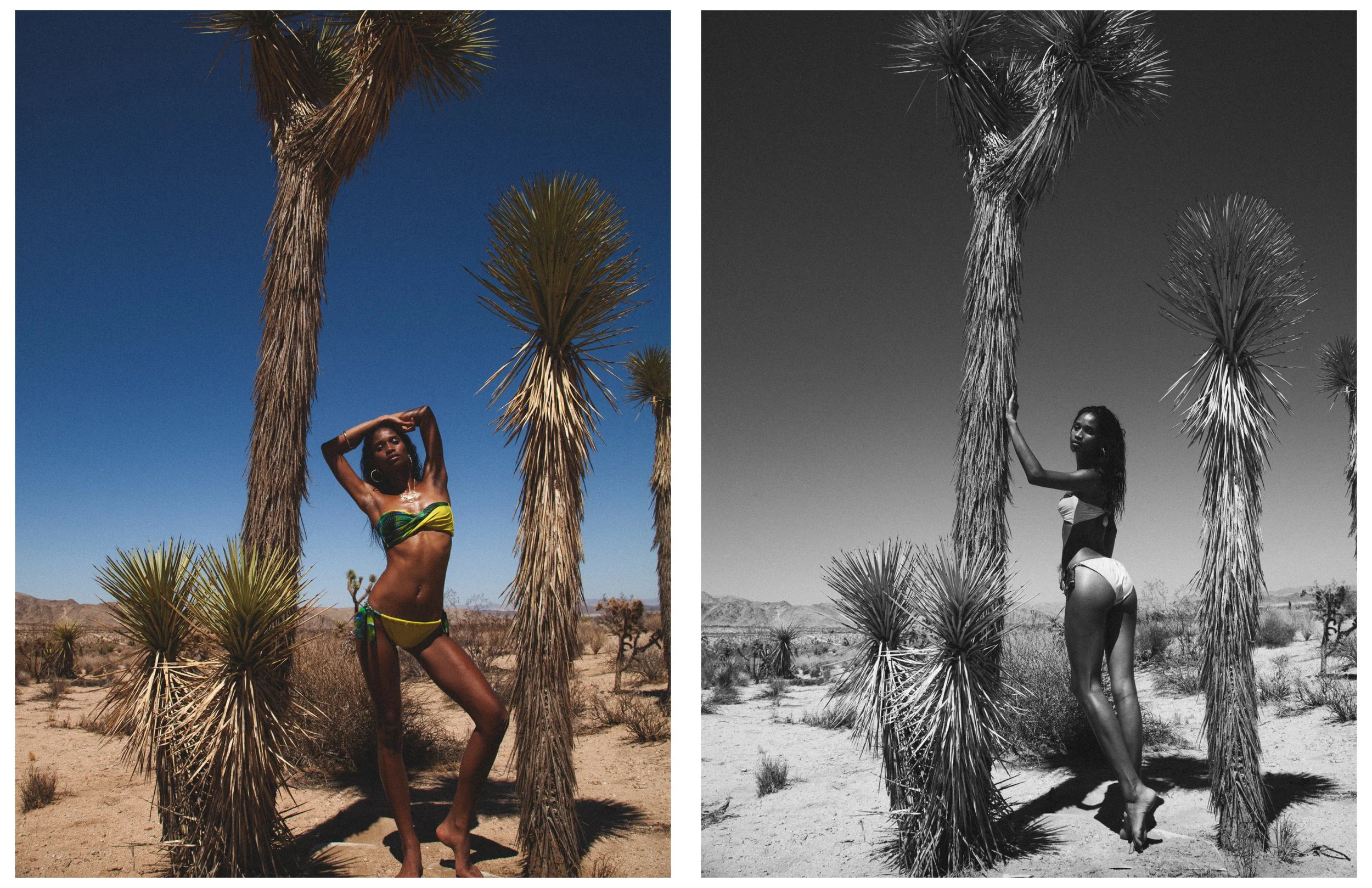 Shadai - Mojave39.jpg