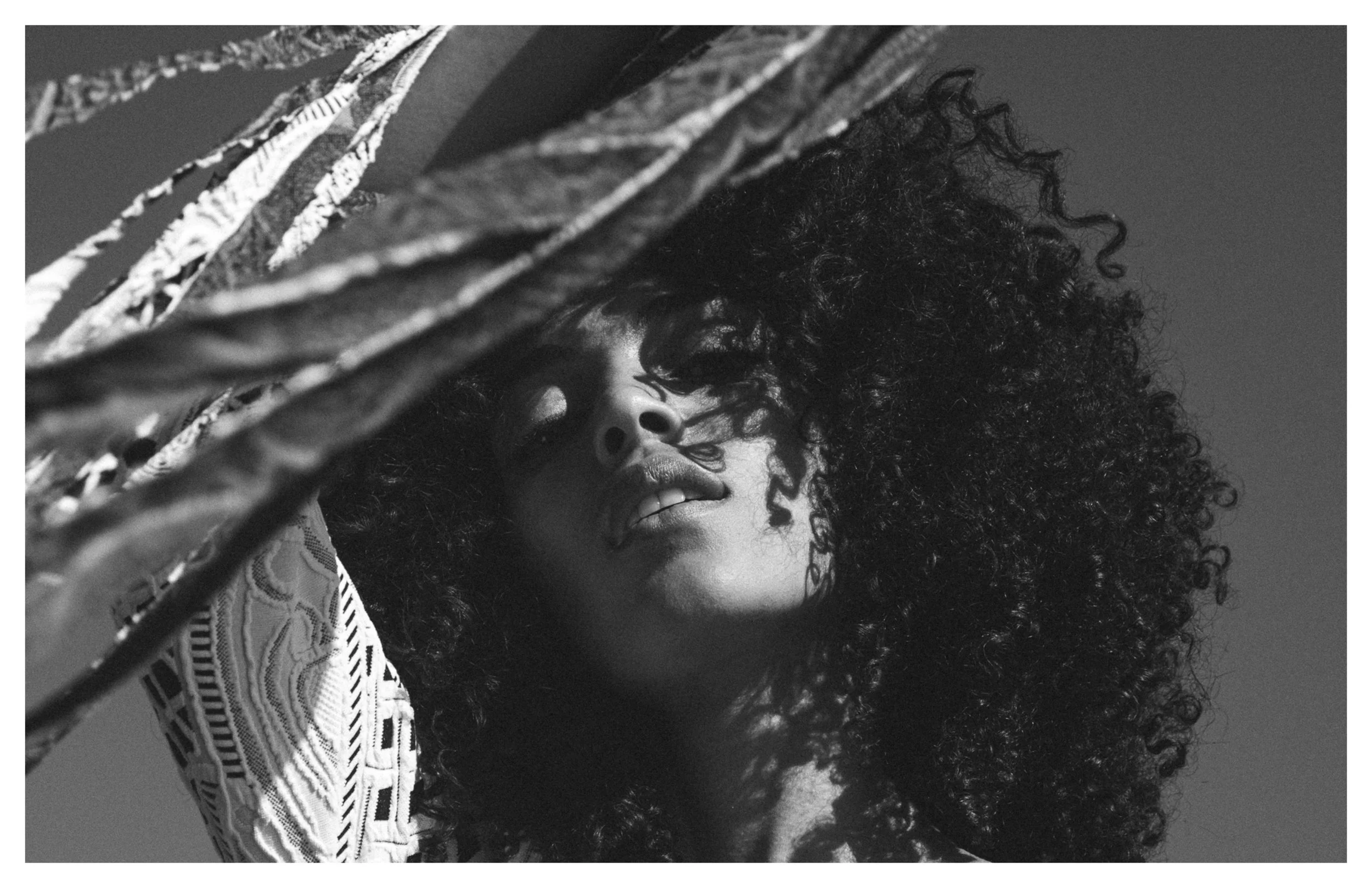 Archive Destination17.jpg