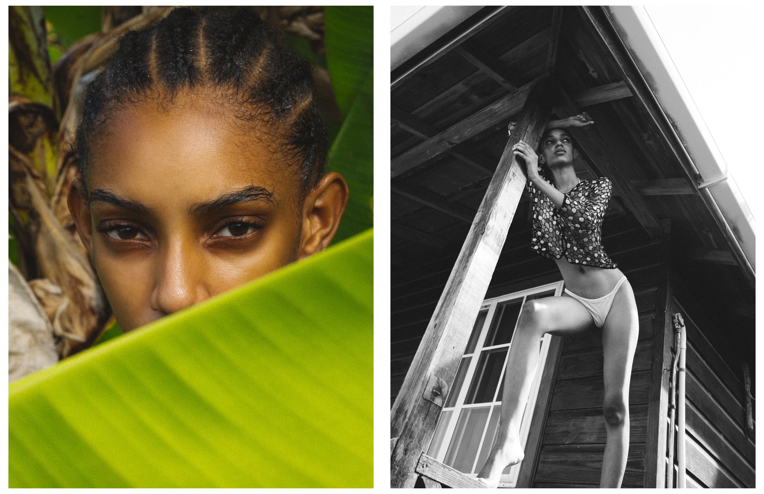 Shadai- Irie70.jpg