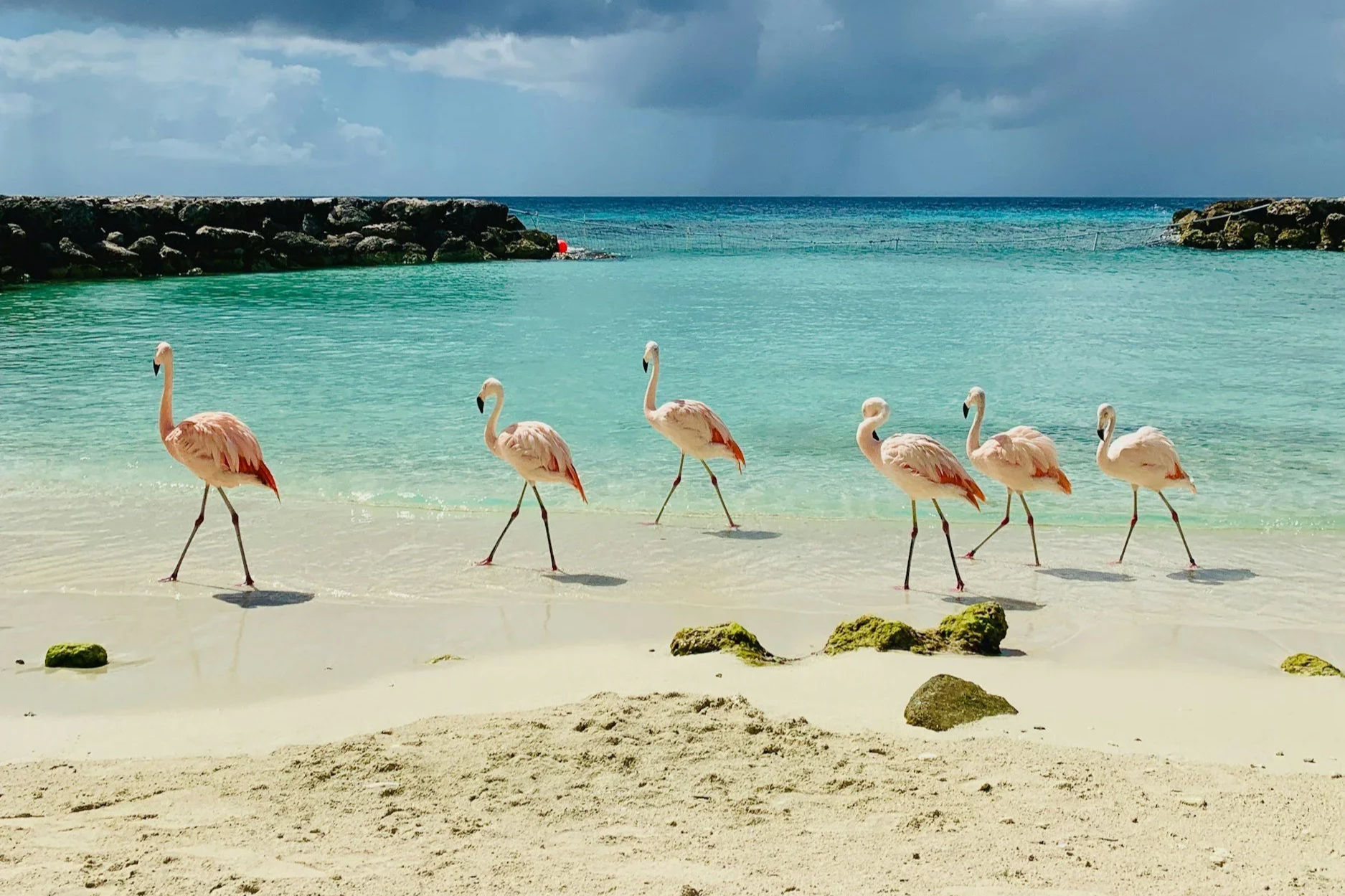 Aruba