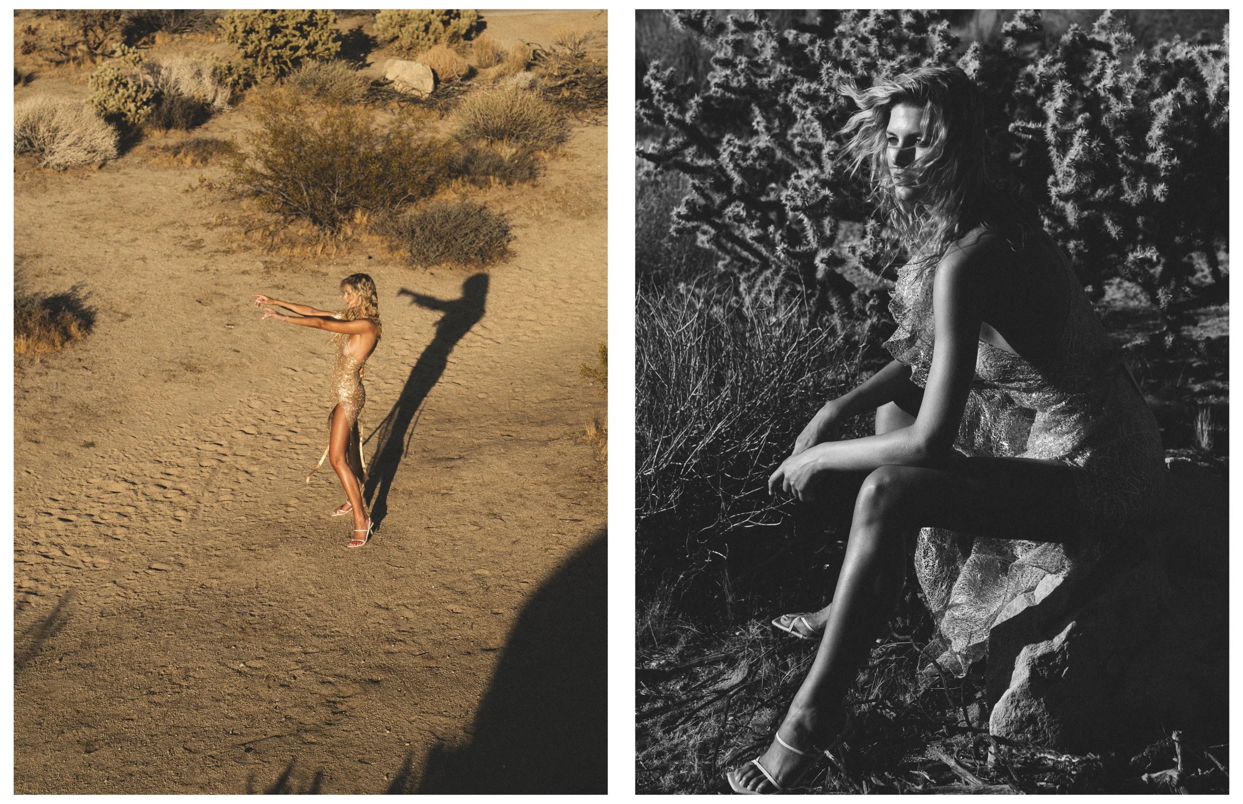 Shadai - Mojave105.jpg