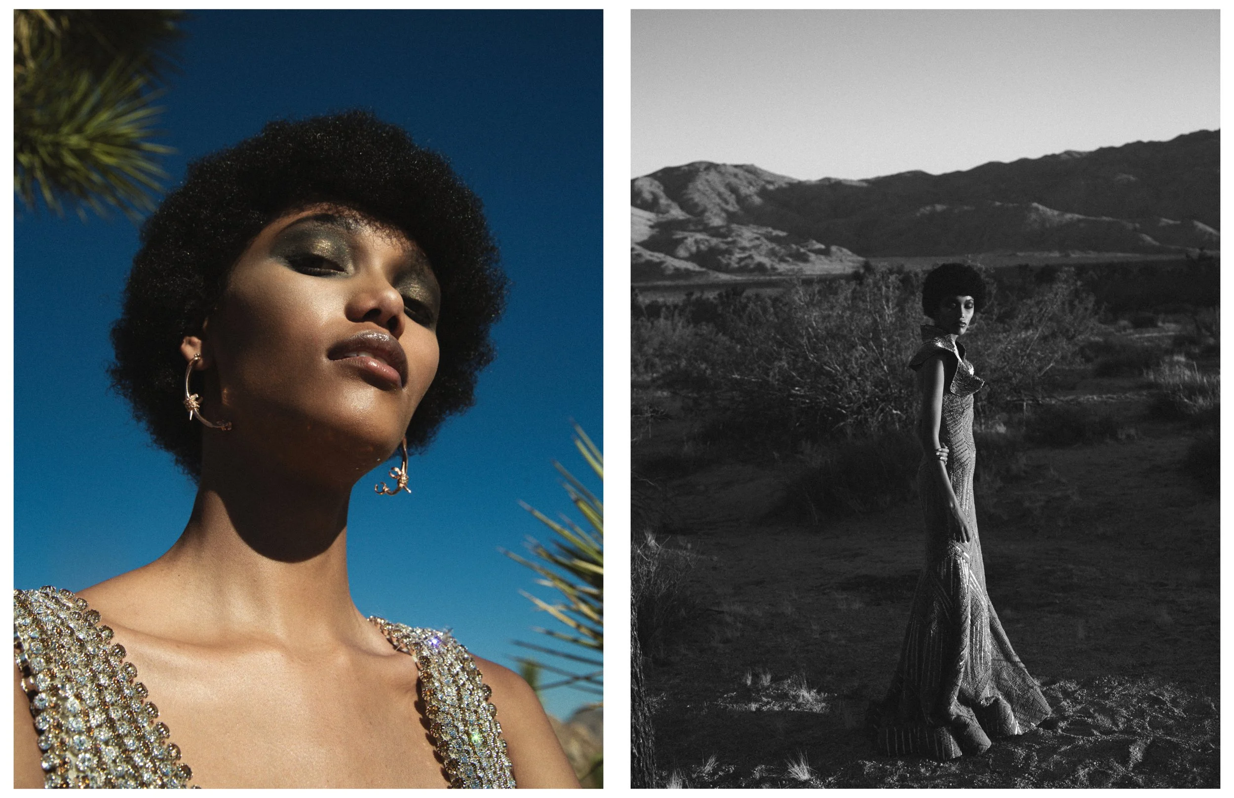 Shadai - Mojave62.jpg