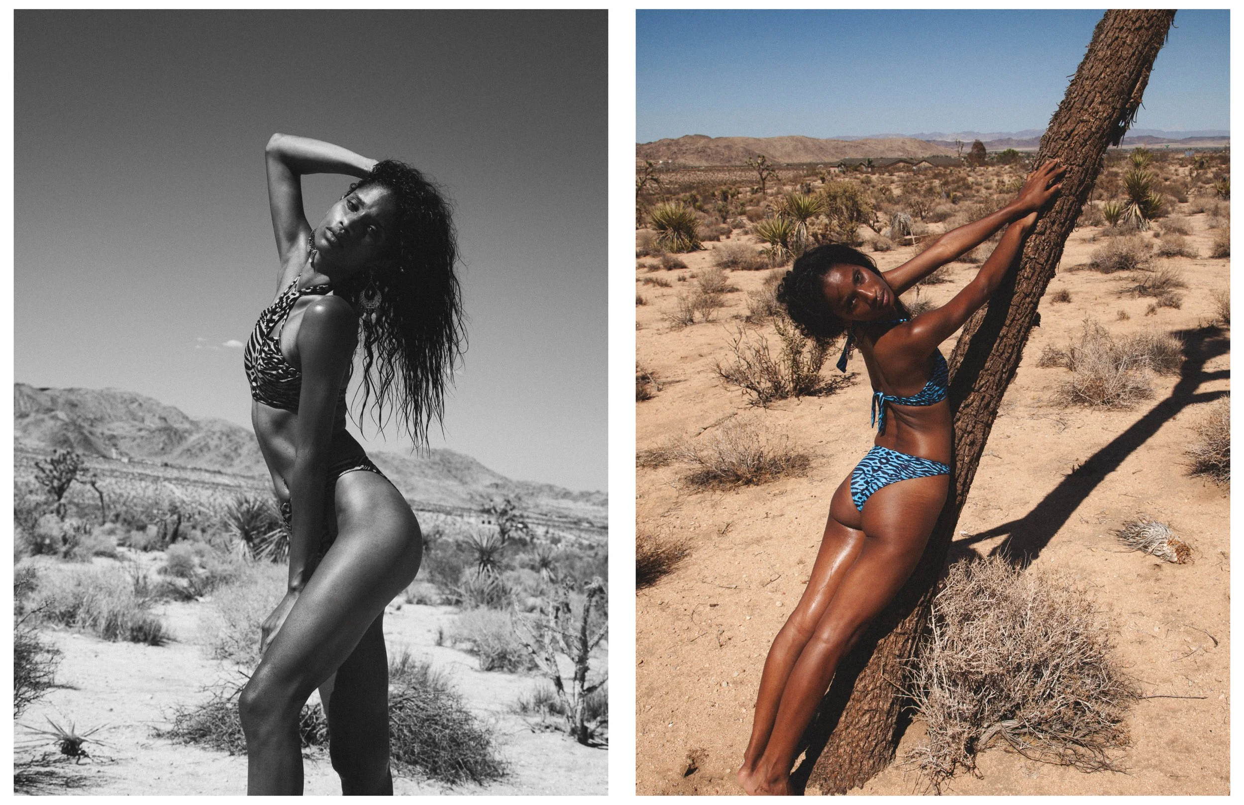 Shadai - Mojave38.jpg