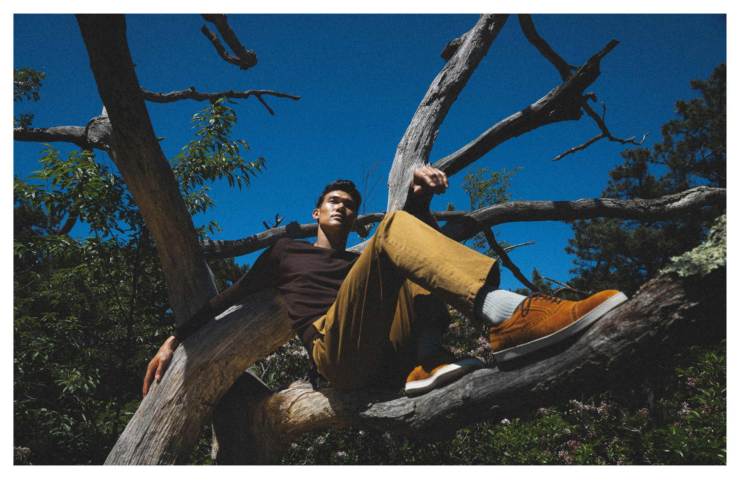 Allen Edmonds7.jpg