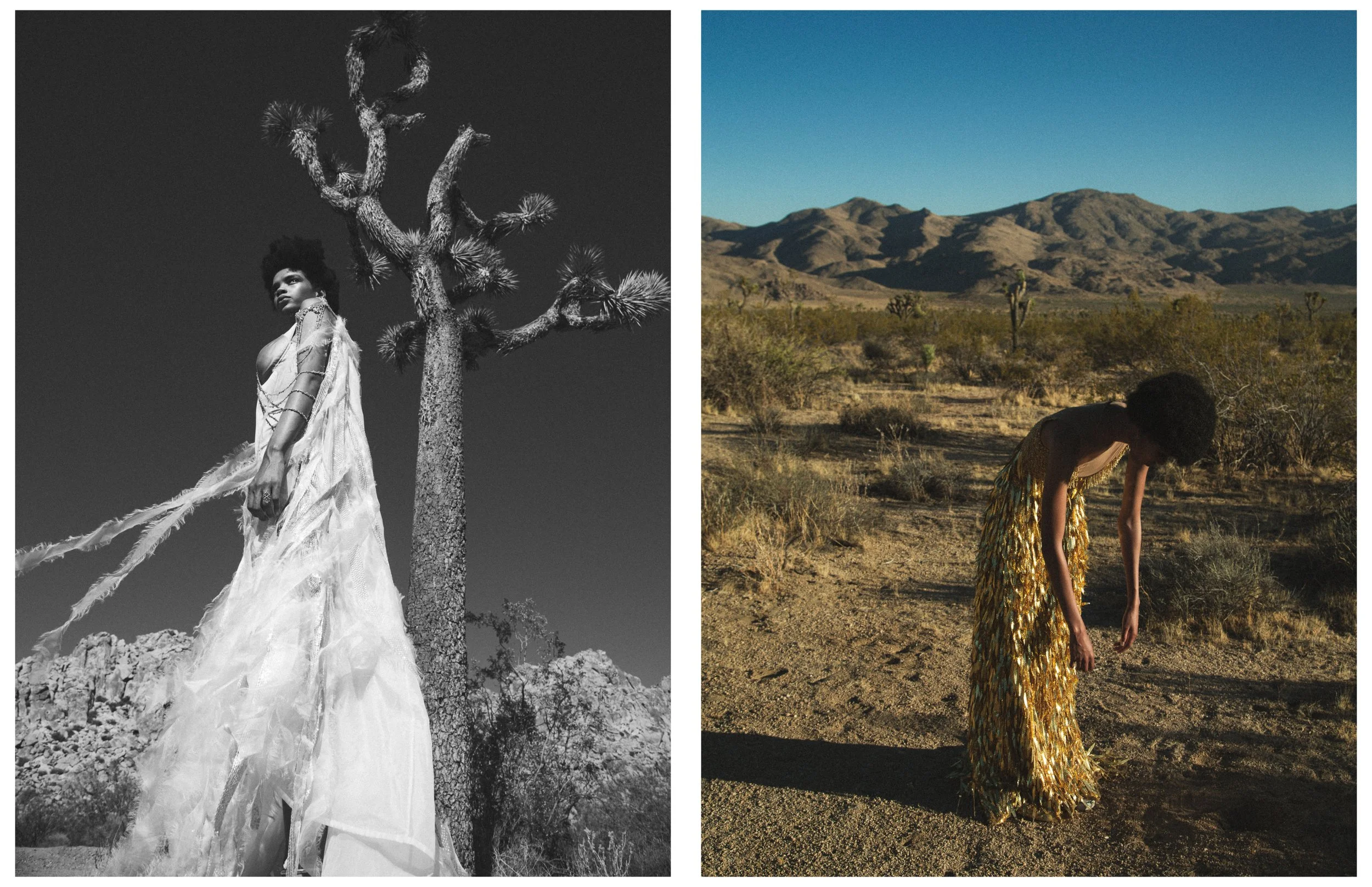 Shadai - Mojave61.jpg