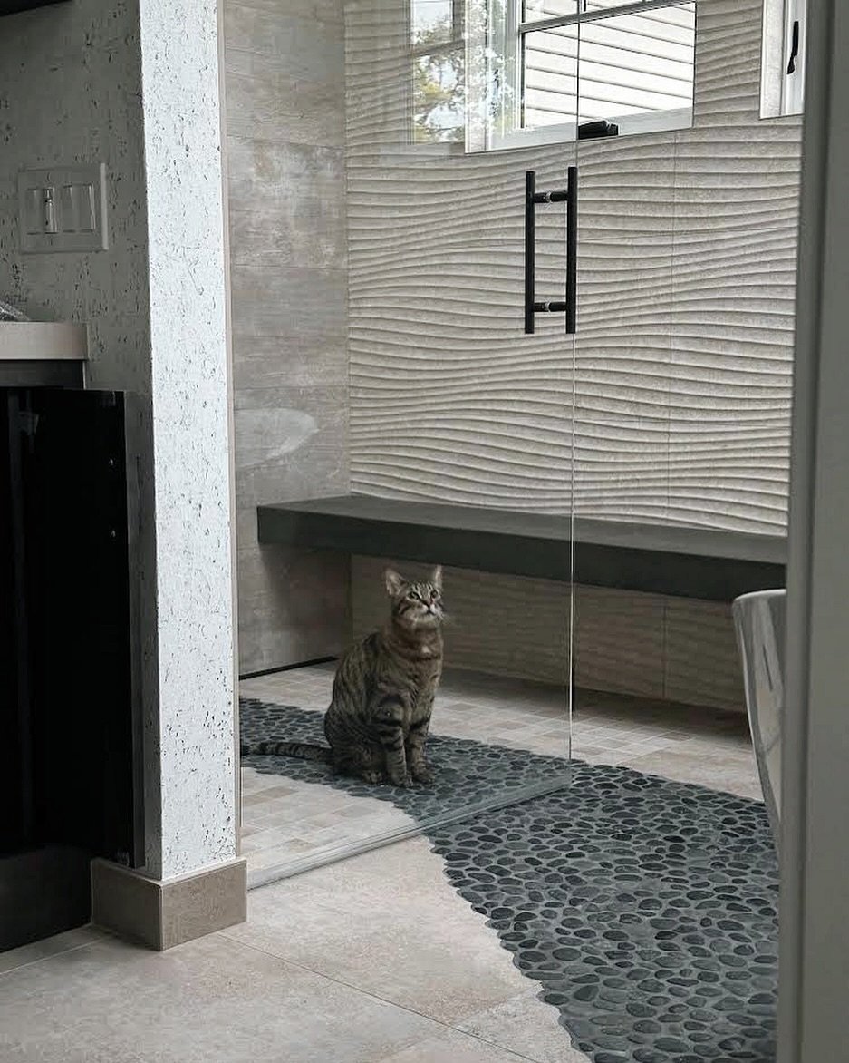 Another happy client🐱
-
#bathroomdesign #interior #interiordesign #interiordesigner #losaltos #bayareainteriordesigners #californiadesign #bathroom #happykitty #viscusielsoninteriordesign