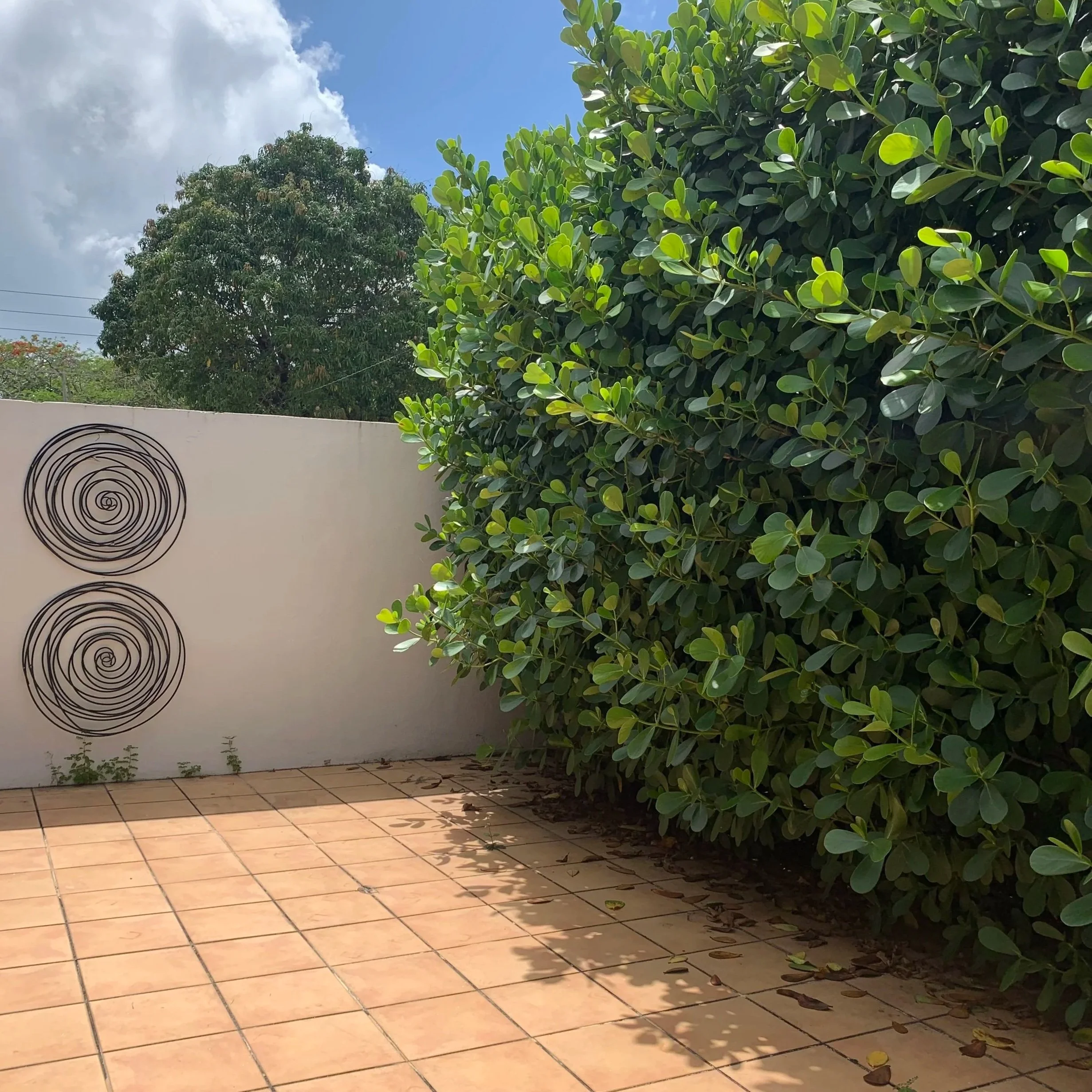 Sample Private Terrace