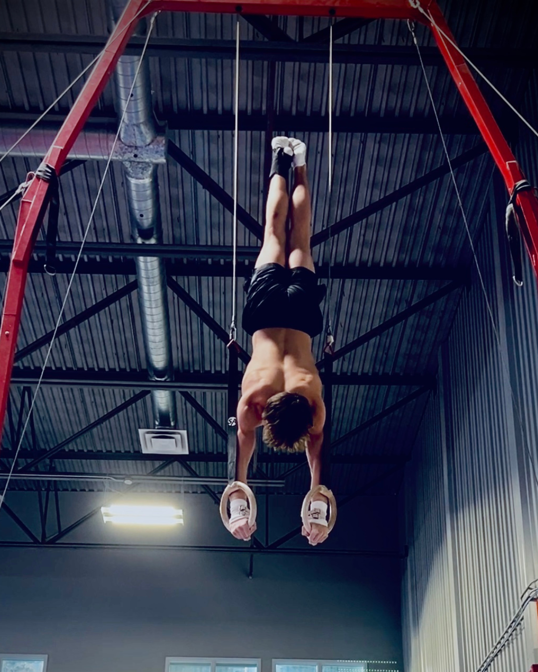 Male gymnast on rings performs a handstand