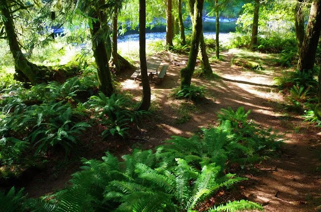 Peninsular Trail - photo by PDXGENE.JPG