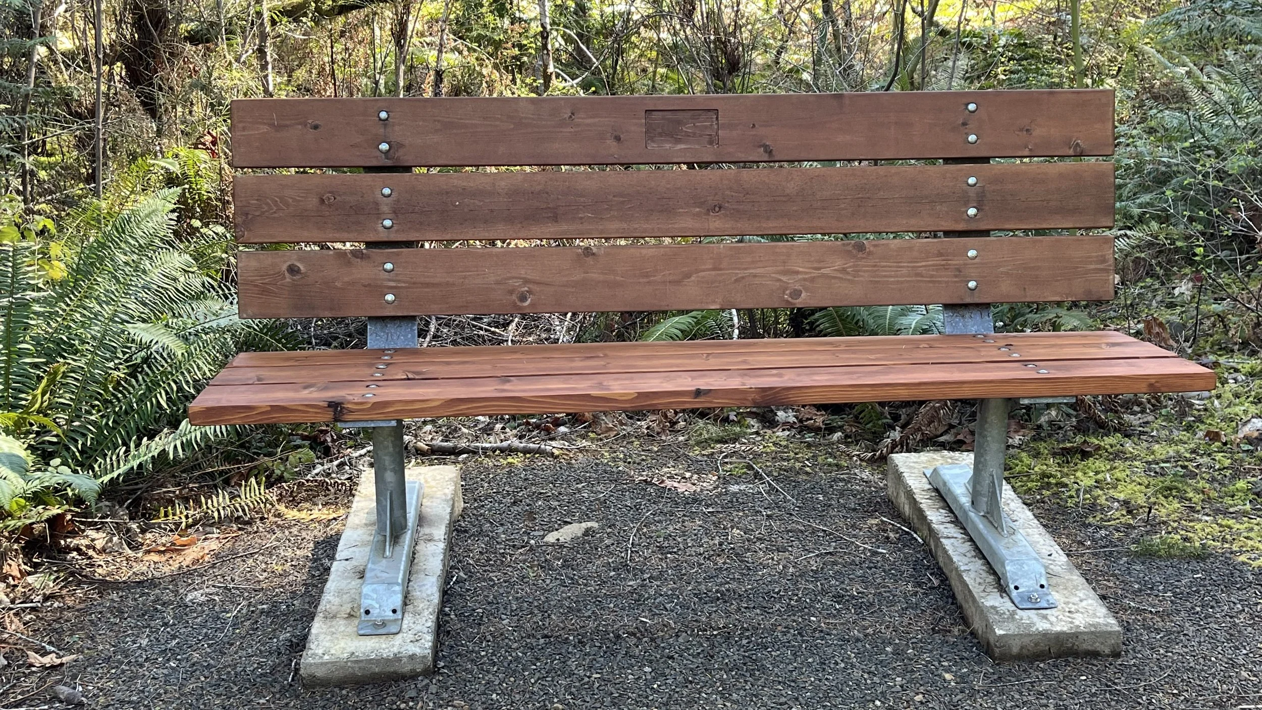An image of a cedar and steel bench set along a forest path.