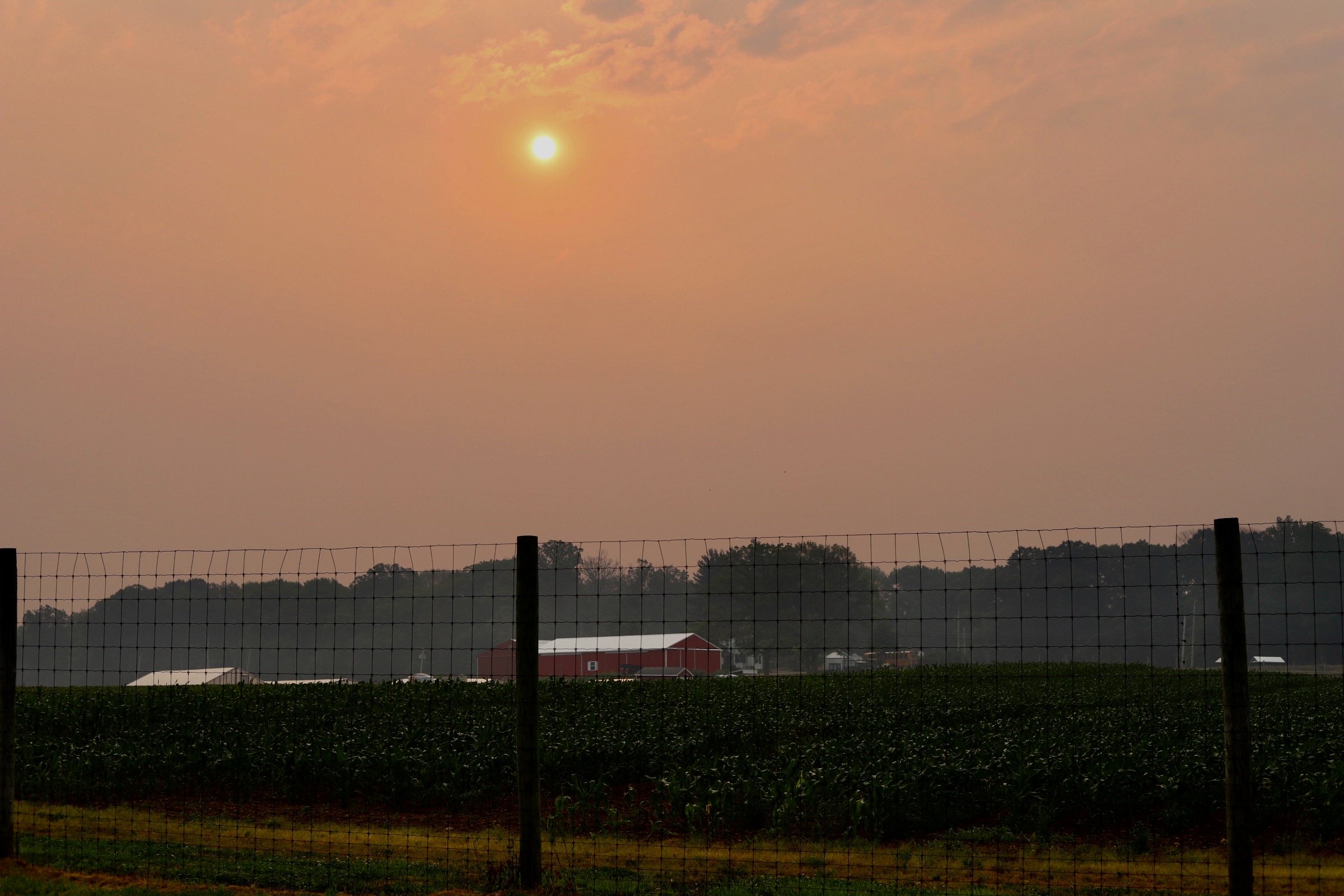 Canadian Wild Fires Reach NJ