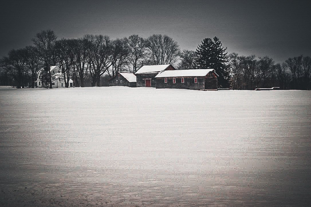 snowy farm