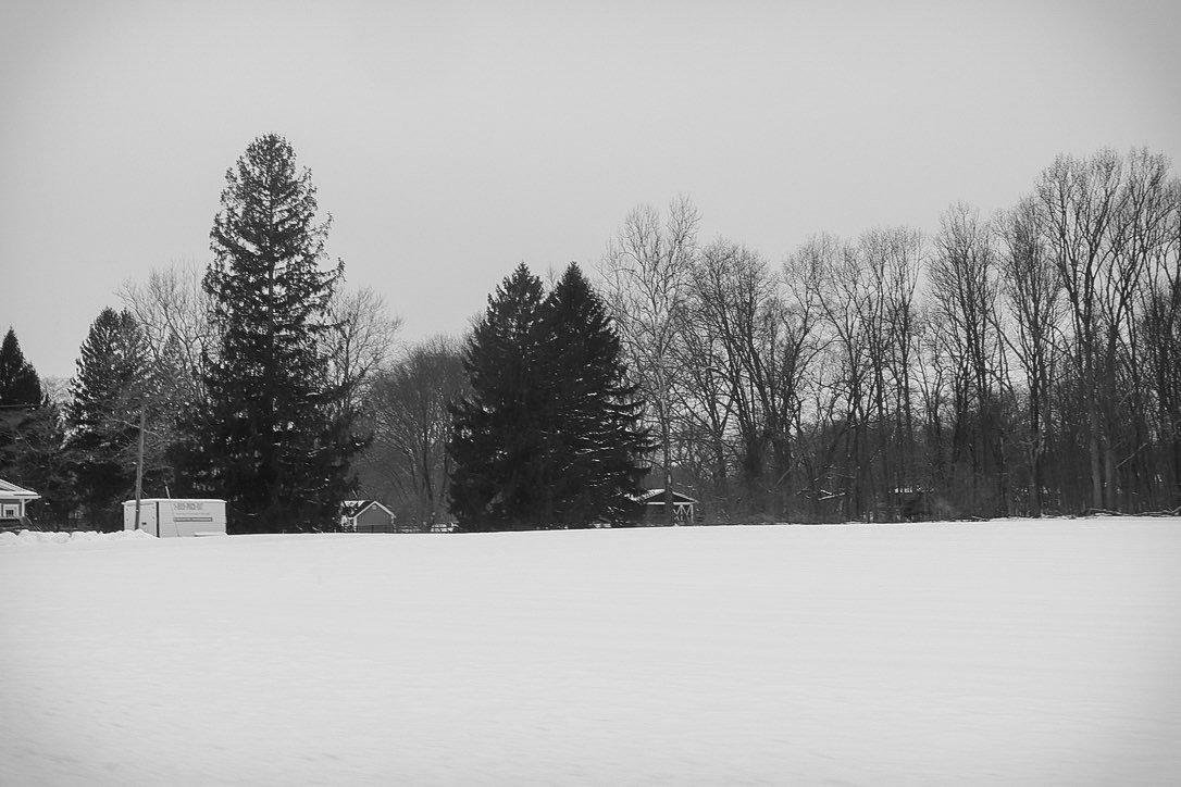 Land of snow