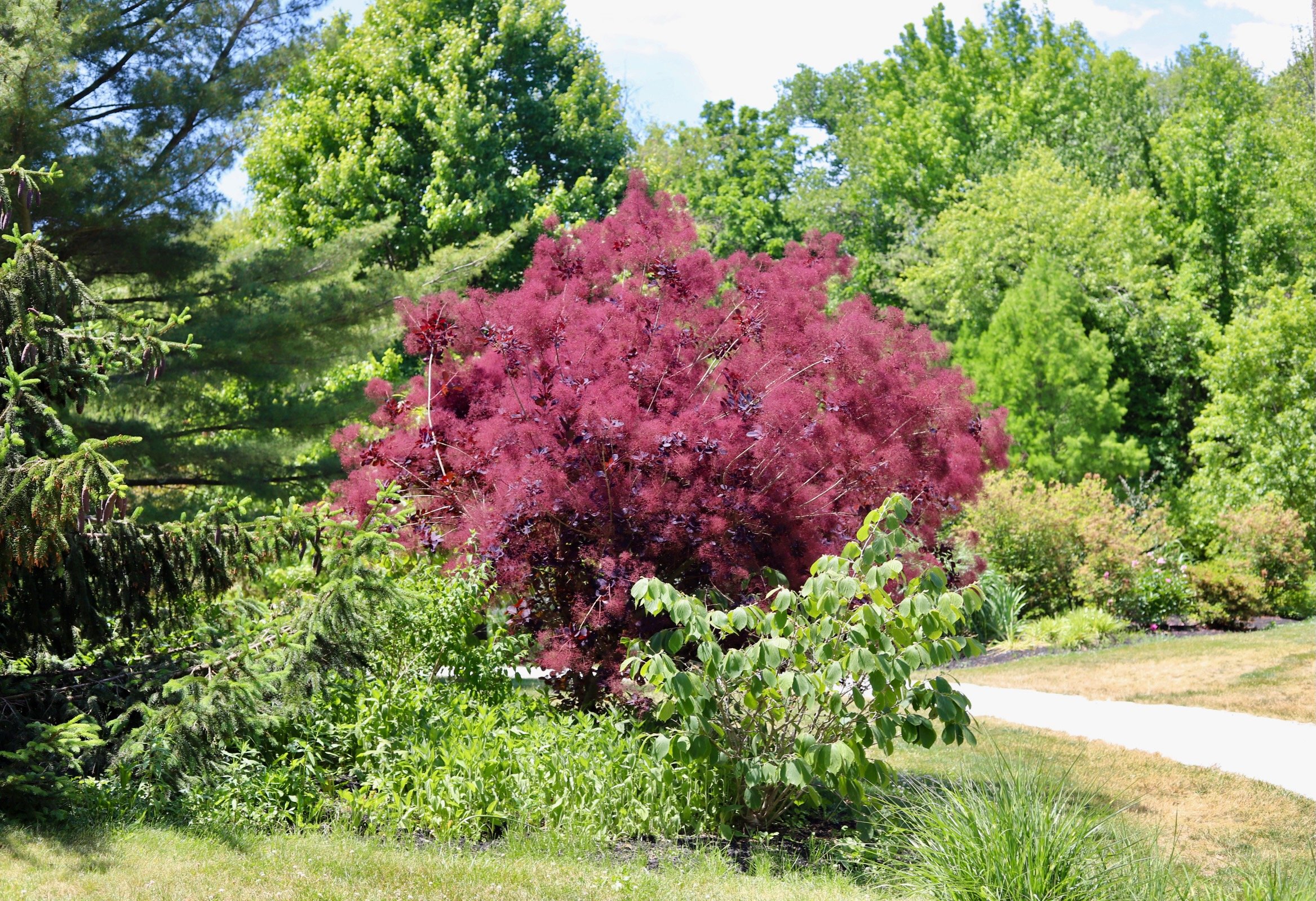 Hamilton NJ Gardens