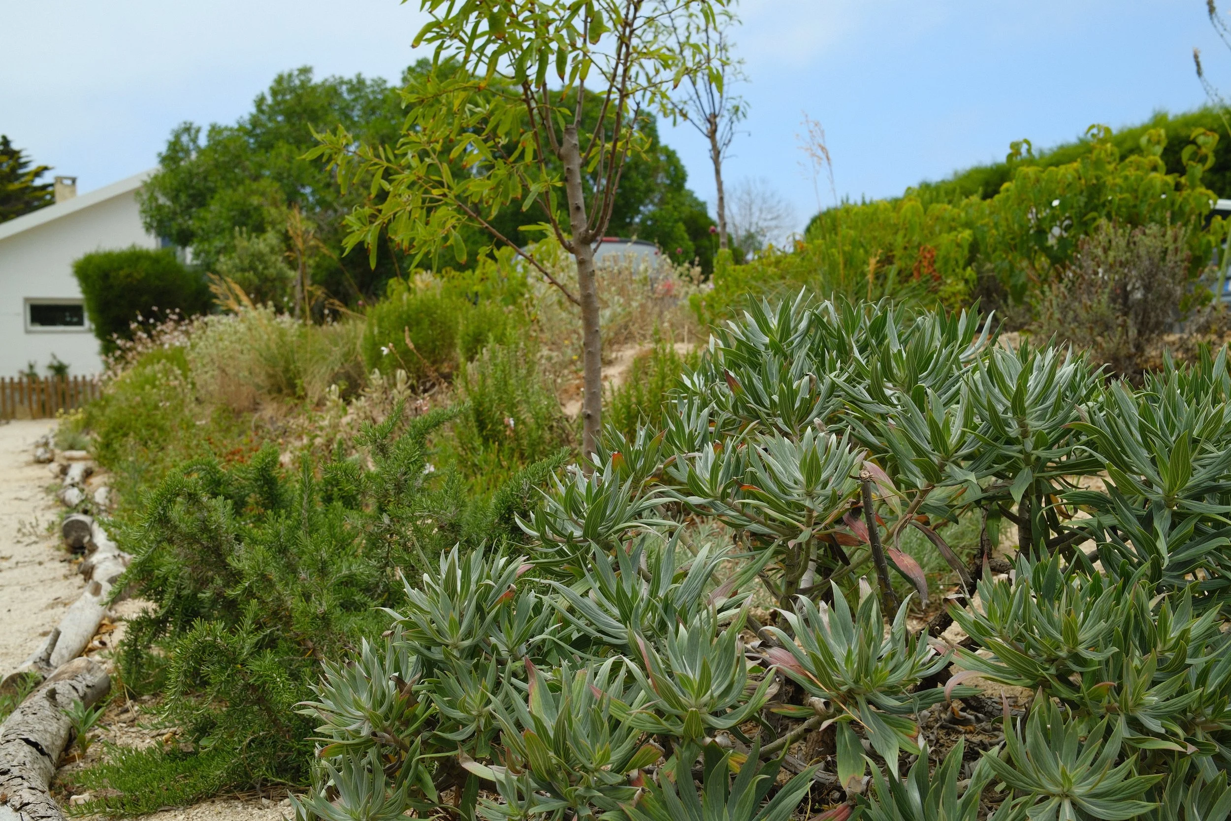 DSCF1278.JPG