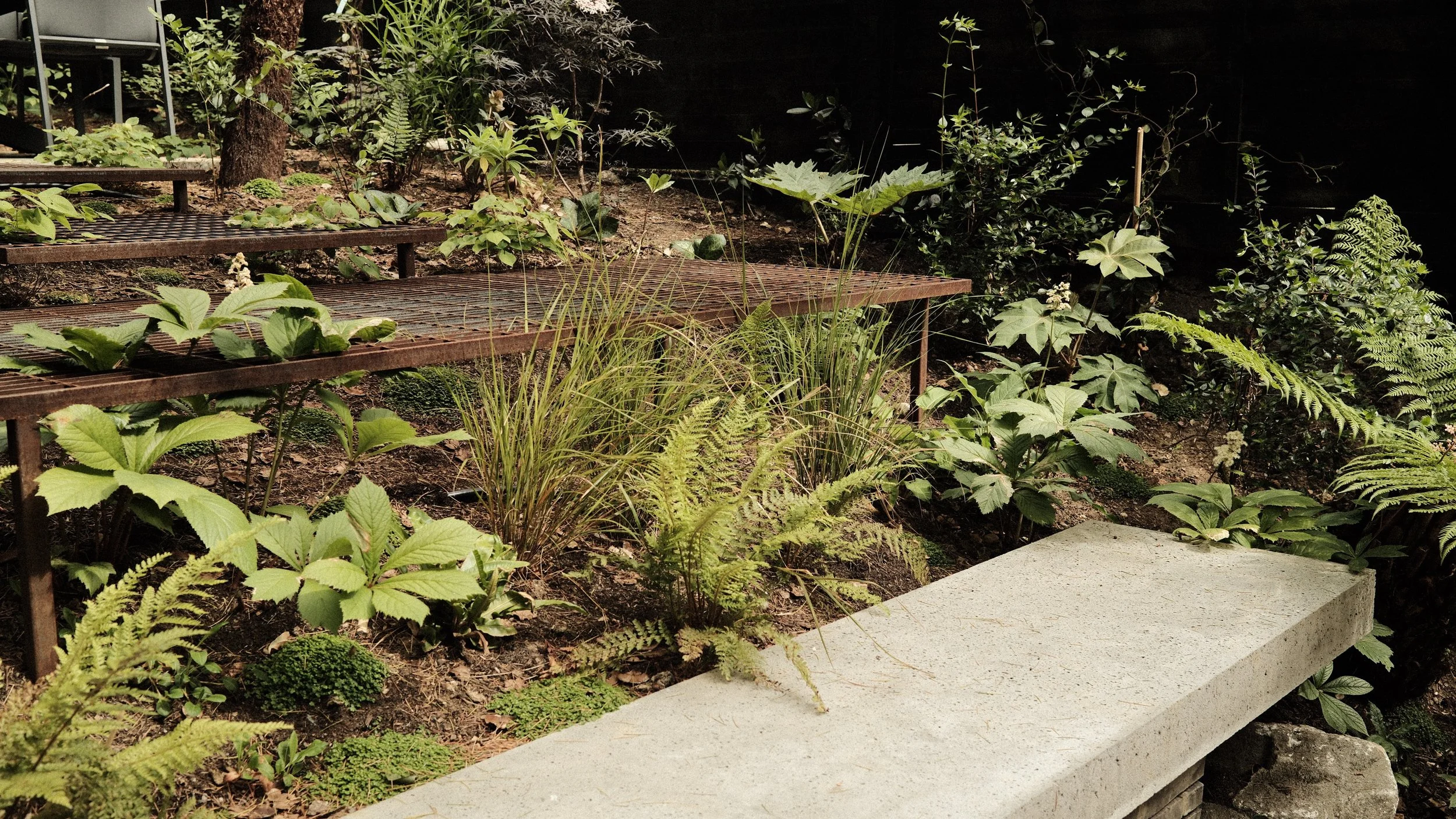 Jake Sutcliffe Studio - Cedar Court - Landscape - T3.JPG