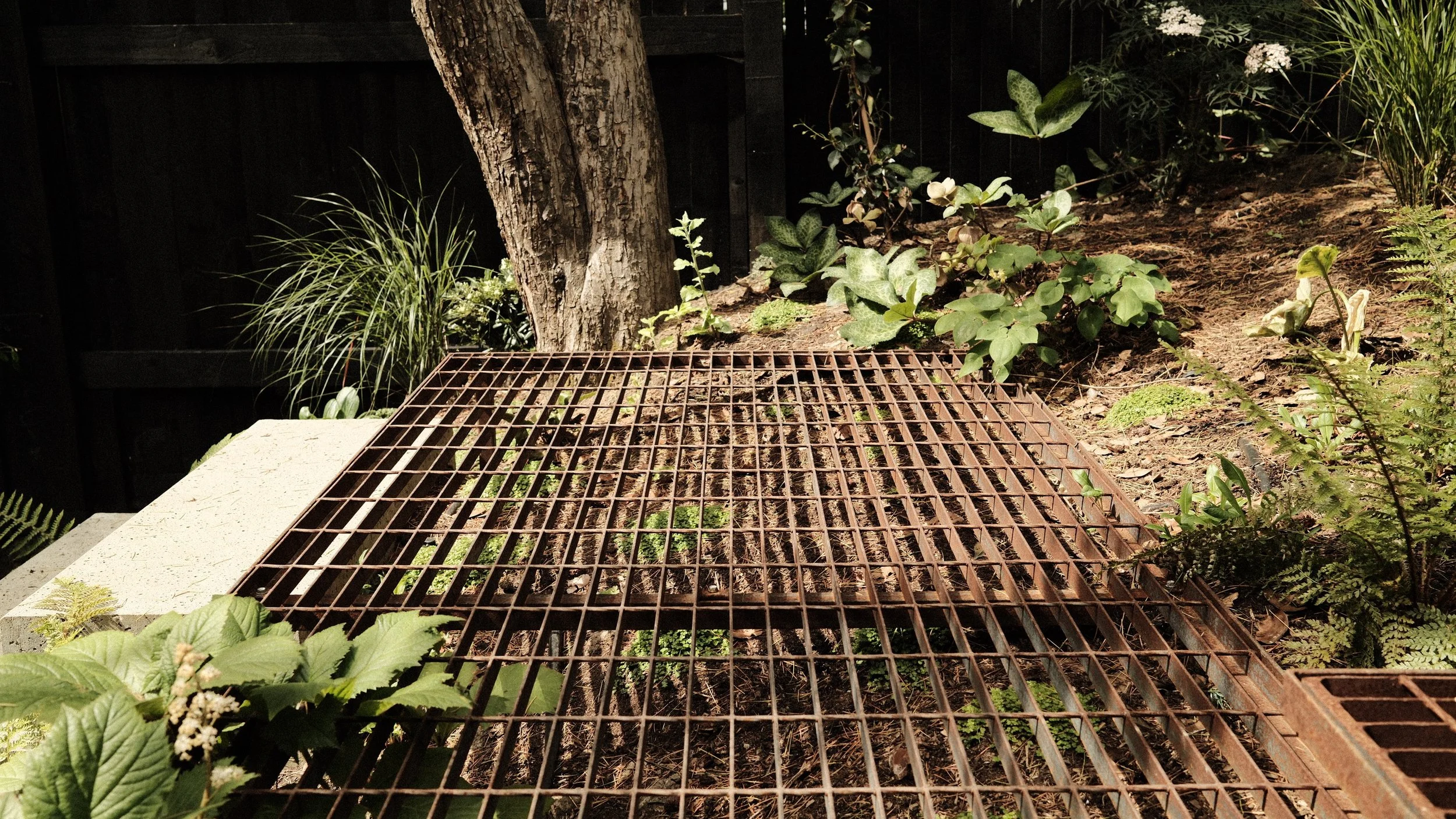 Jake Sutcliffe Studio - Cedar Court - Landscape 10.JPG