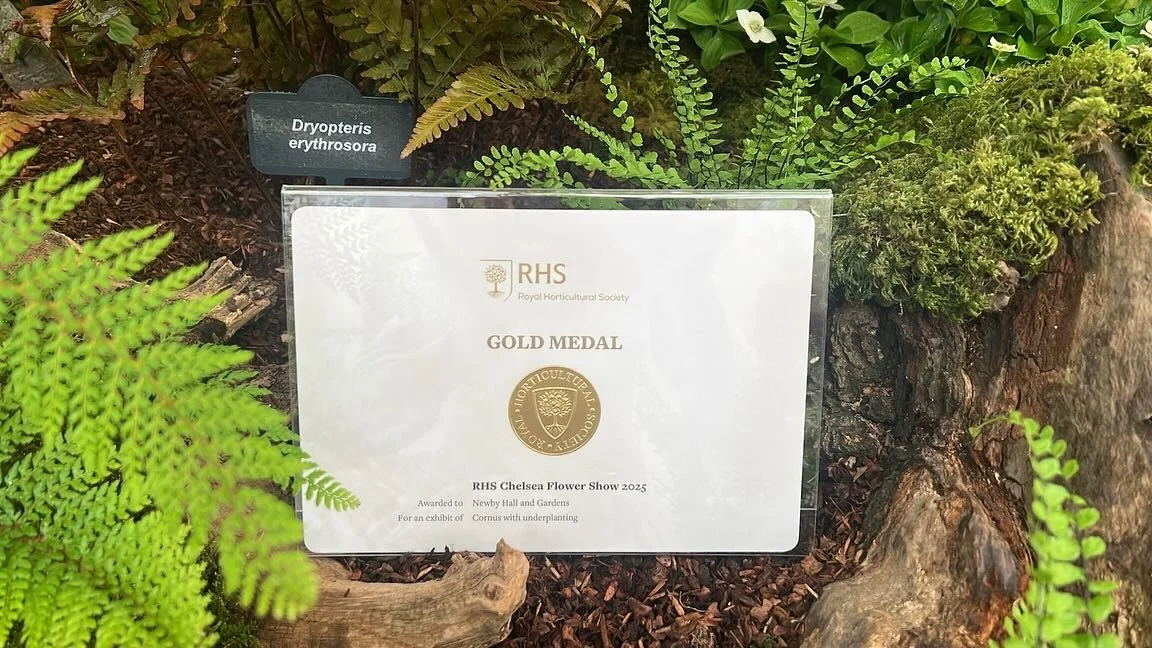 BOOM 🥇

@lawrencewright_ 
Helen Bainbridge
@newbyhallandgardens 
@farmlanelandscaping 
@tomsonmonkey 
@rogerplatts 
@hortus_loci 
@creepersnursery 
@treeman_michael
@northhillnurseries 
💛Grand Pavillion Stand 25 💛