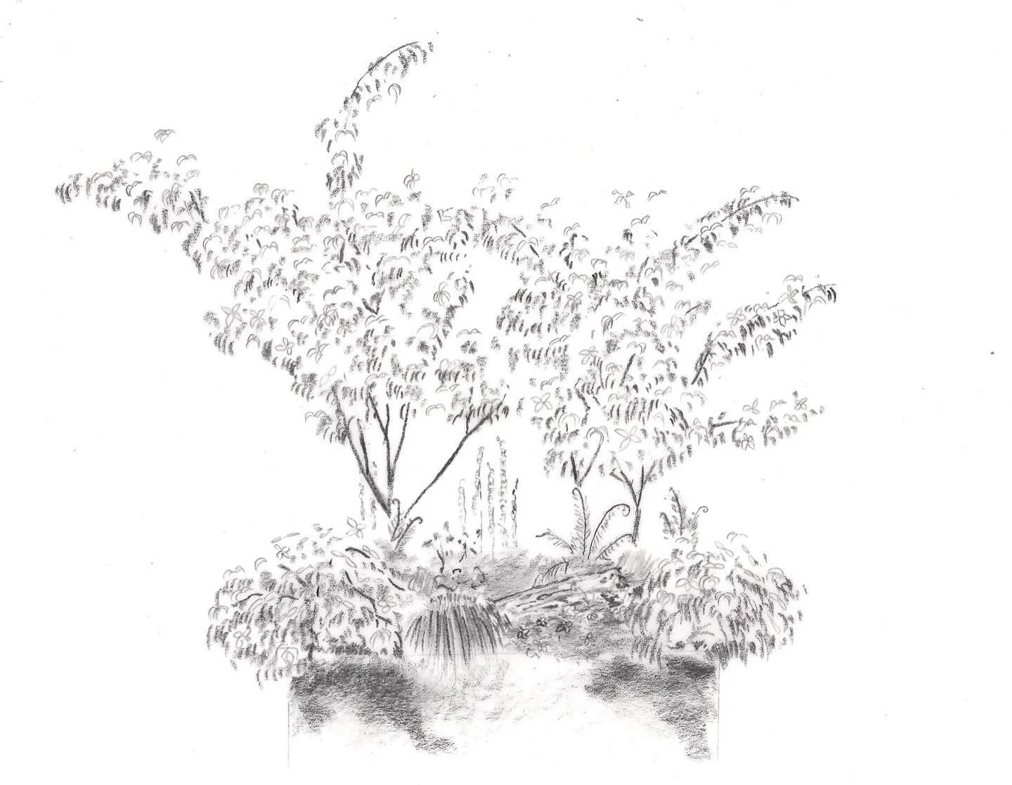🌱 A little @the_rhs Chelsea announcement for this year. Very excited to be part of the team put together the Cornus national collection for @plantheritage. This has been brought to life by @lawrencewright_ and our superstar guide Helen as part of @n