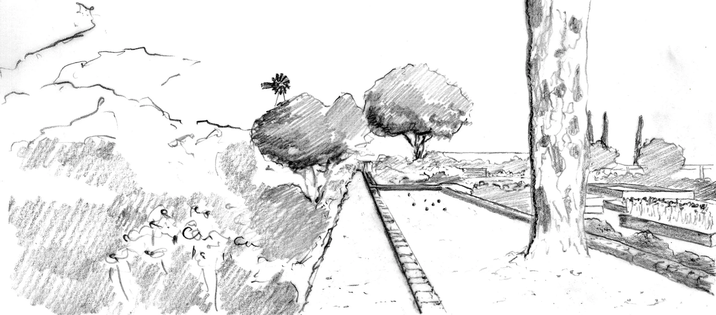 Petanque Edit.jpg