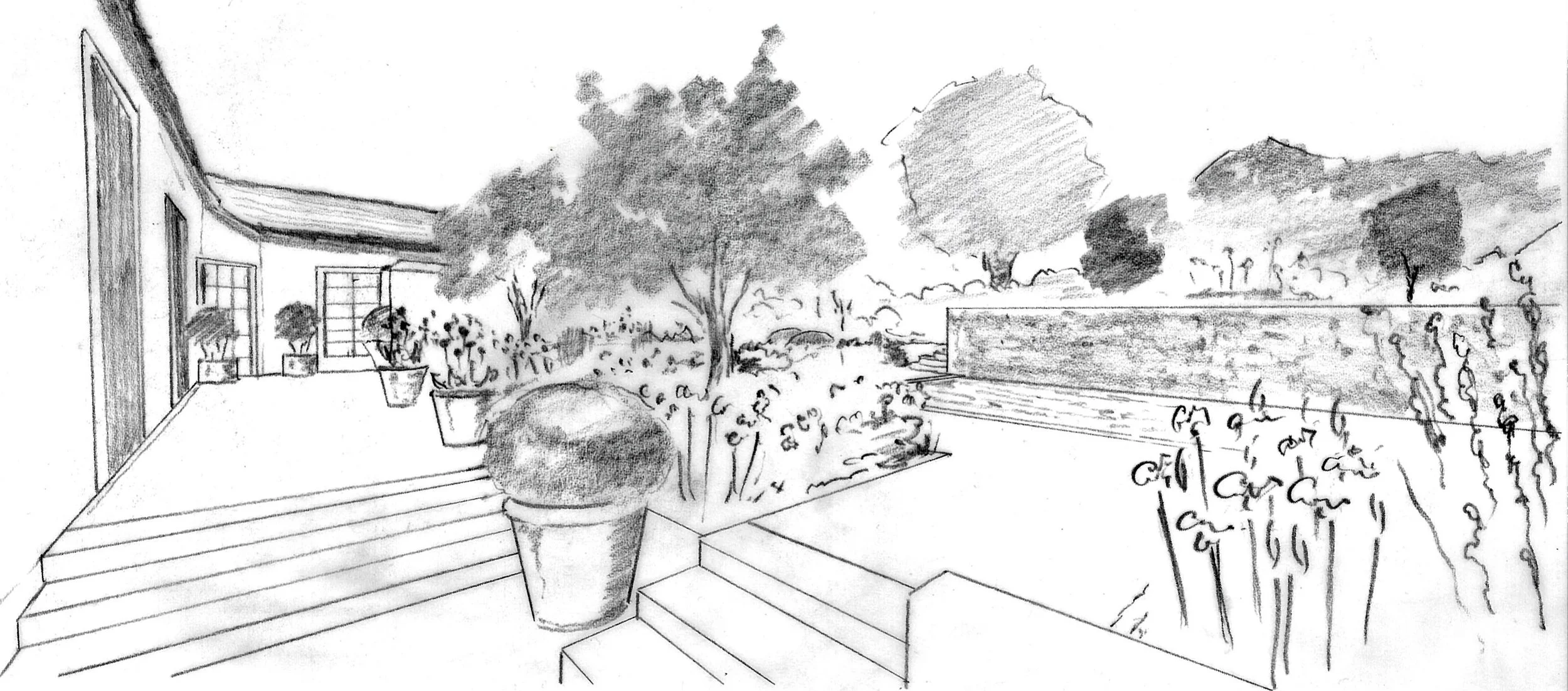 House Garden Edit.jpg