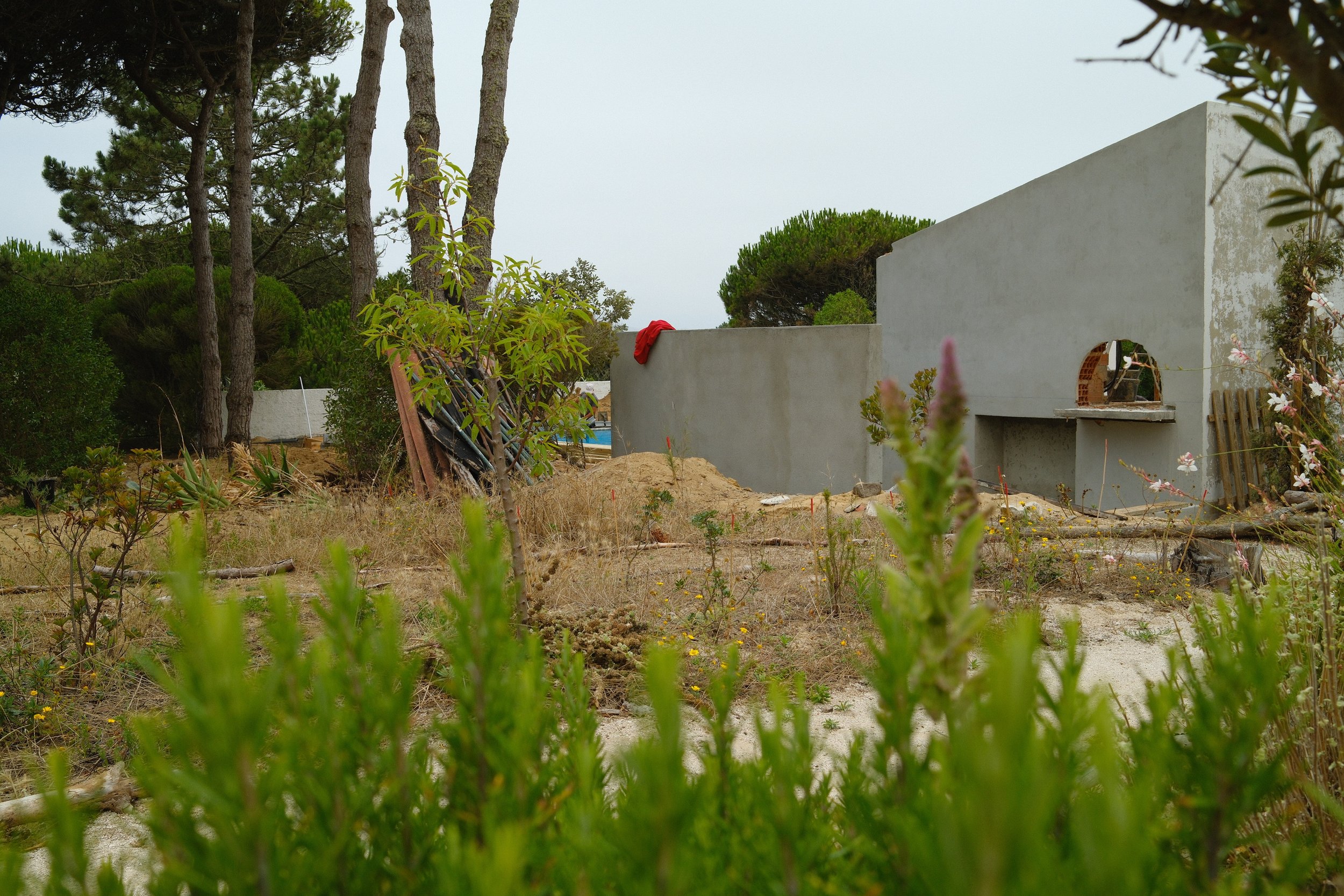 DSCF1286.JPG