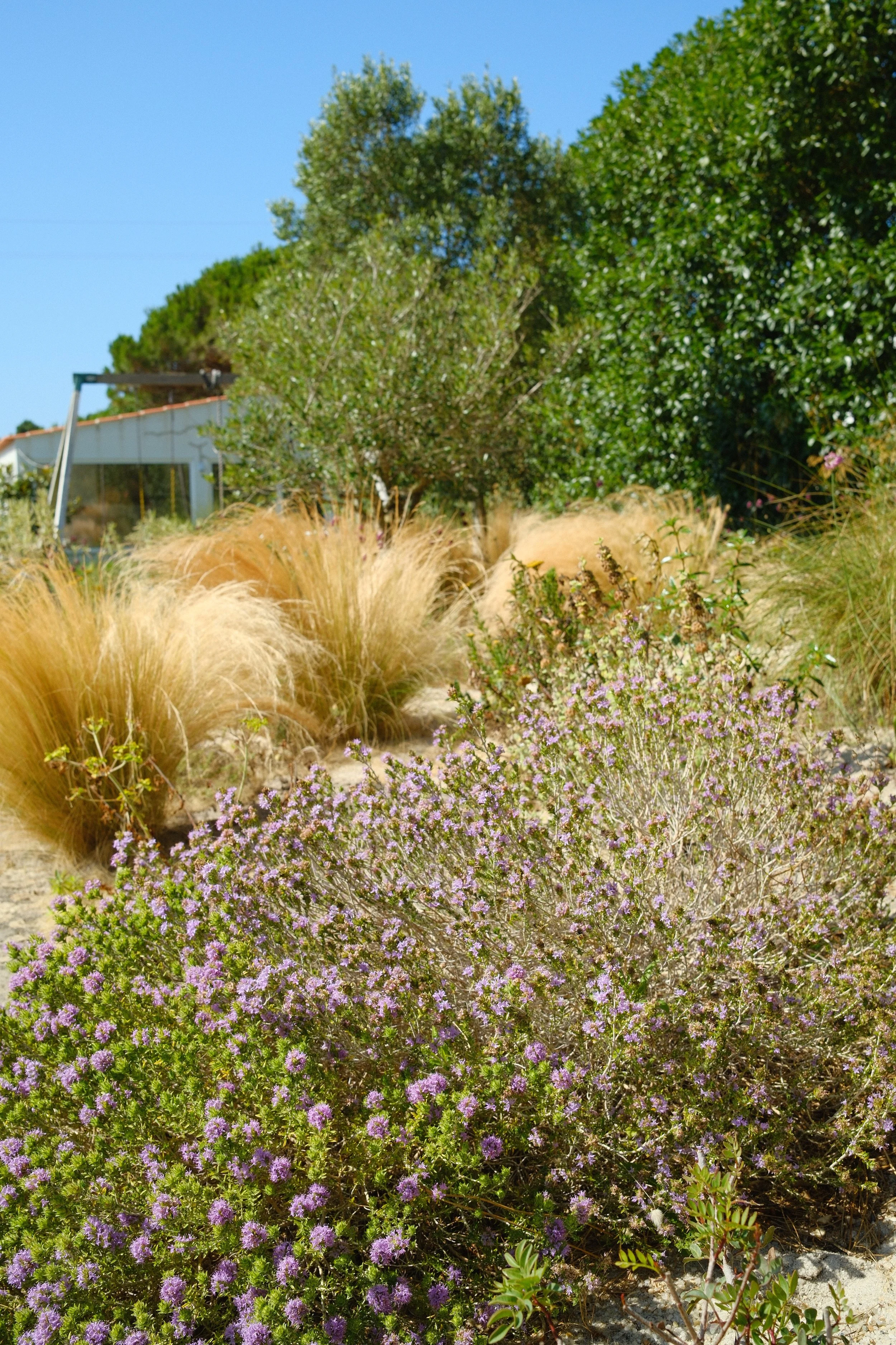DSCF1291.JPG