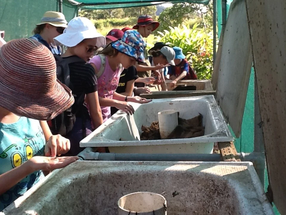 Children and adults wearing hats and backpacks observing and using outdoor waste or compost bins under a green canopy.