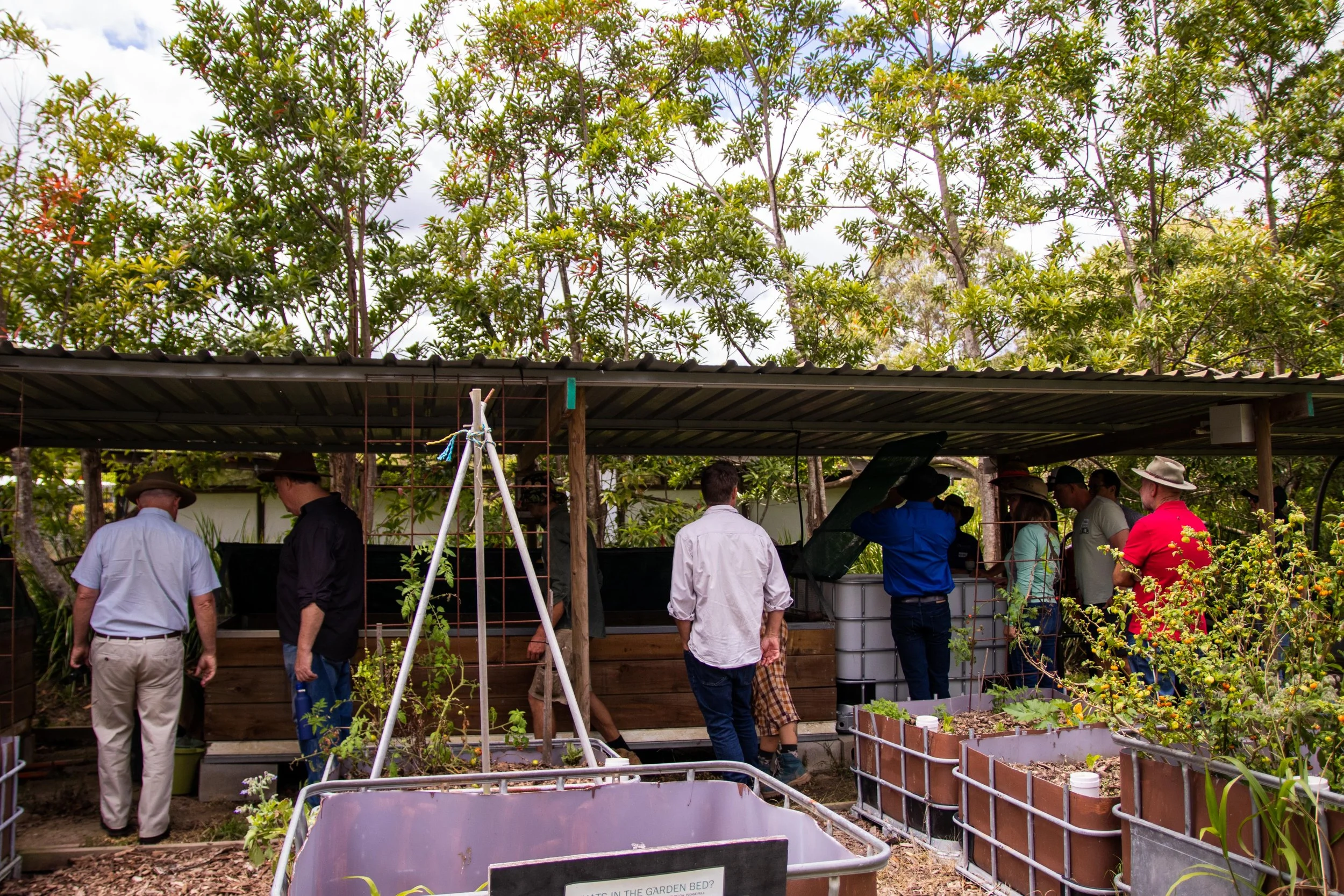 People gathered under a outdoor roof, surrounded by lush green trees, with gardening supplies and plants in the foreground. The Regenerative Training Centre, Woodford, Qld.